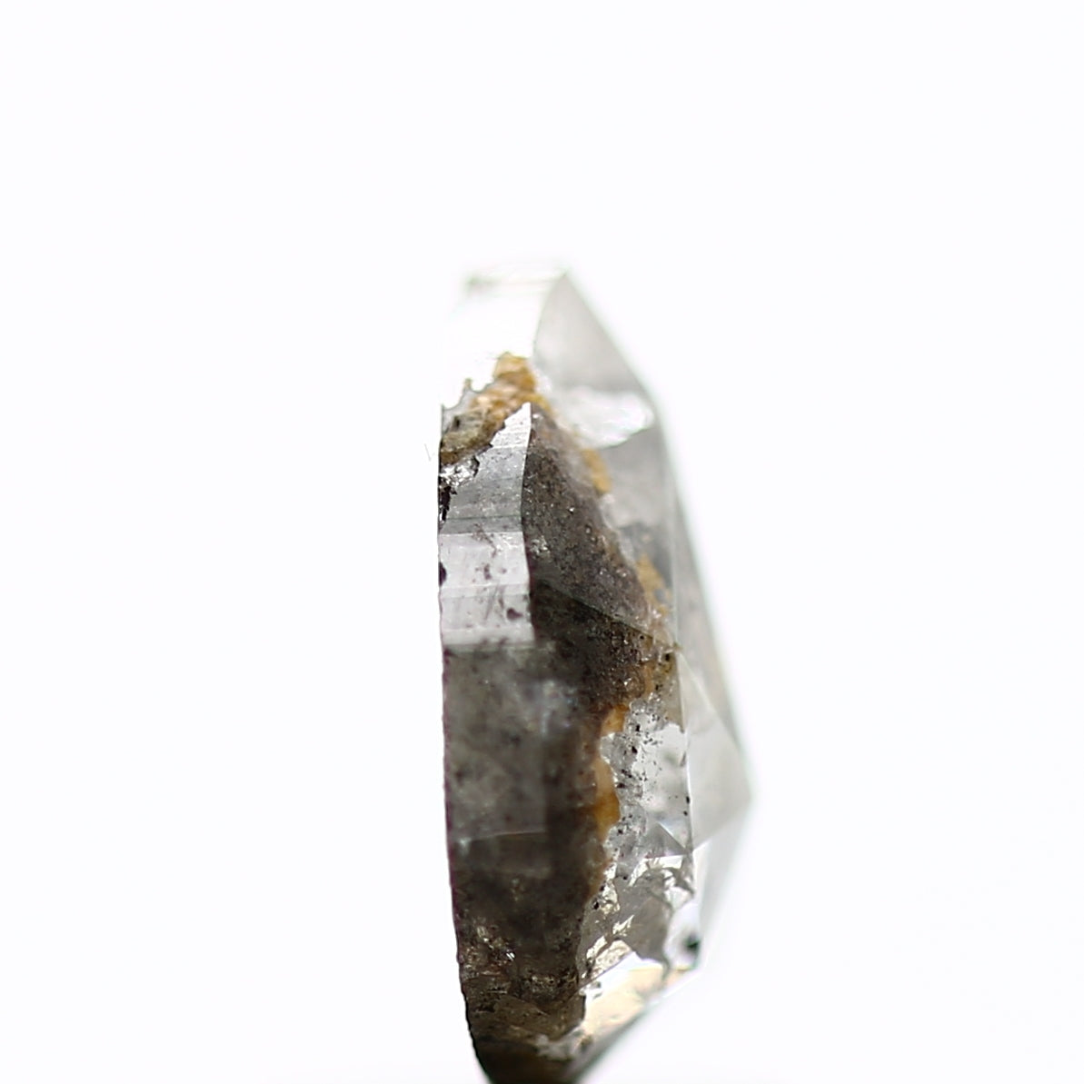 ClariOLED Transparent OLED Display price