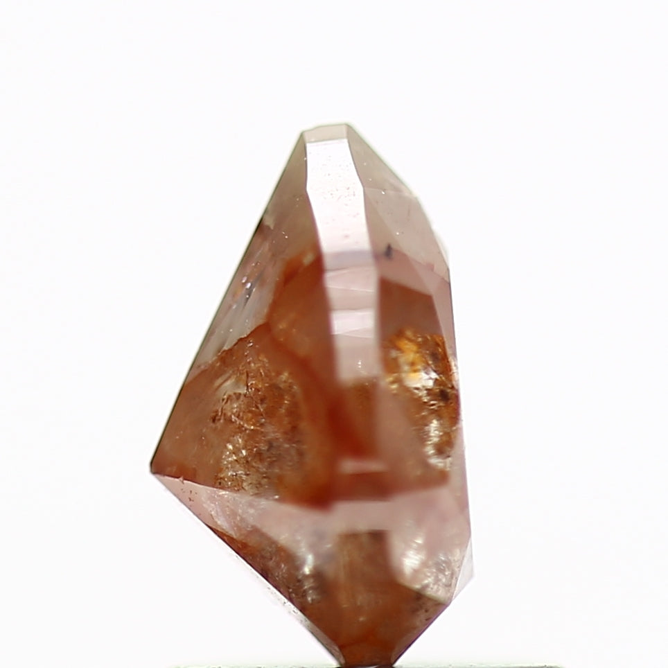 ClariOLED Transparent OLED Display price