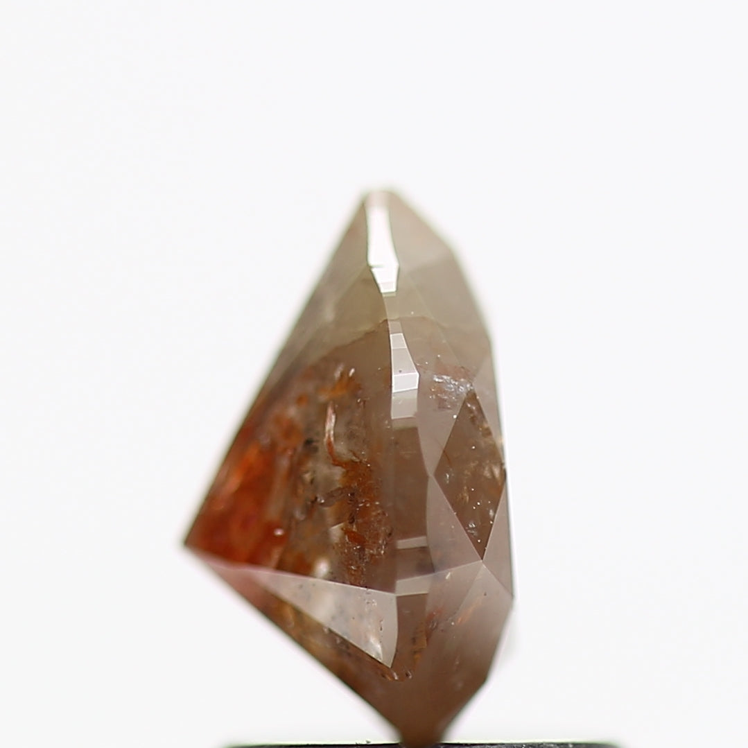 ClariOLED Transparent OLED Display price