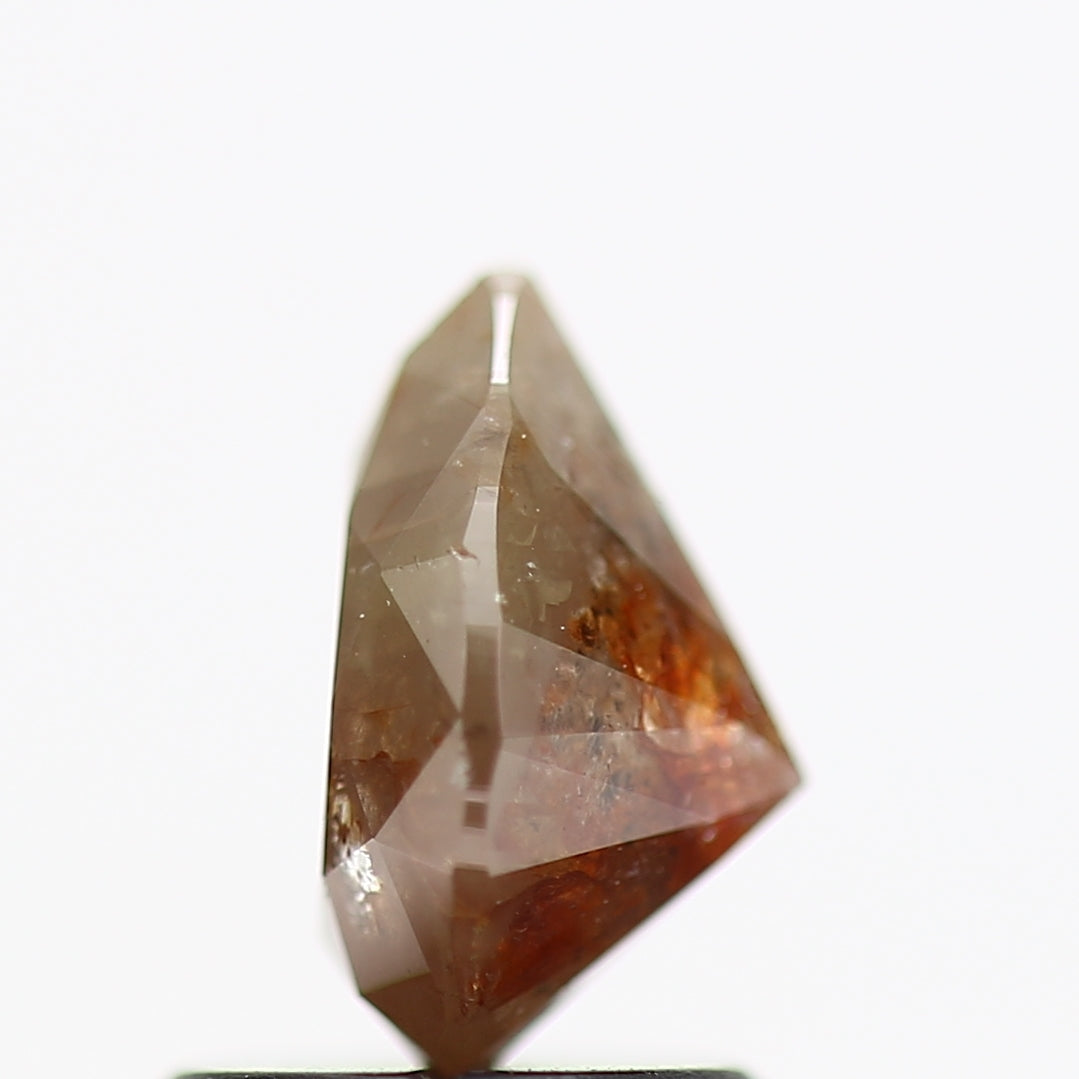 ClariOLED Transparent OLED Display price