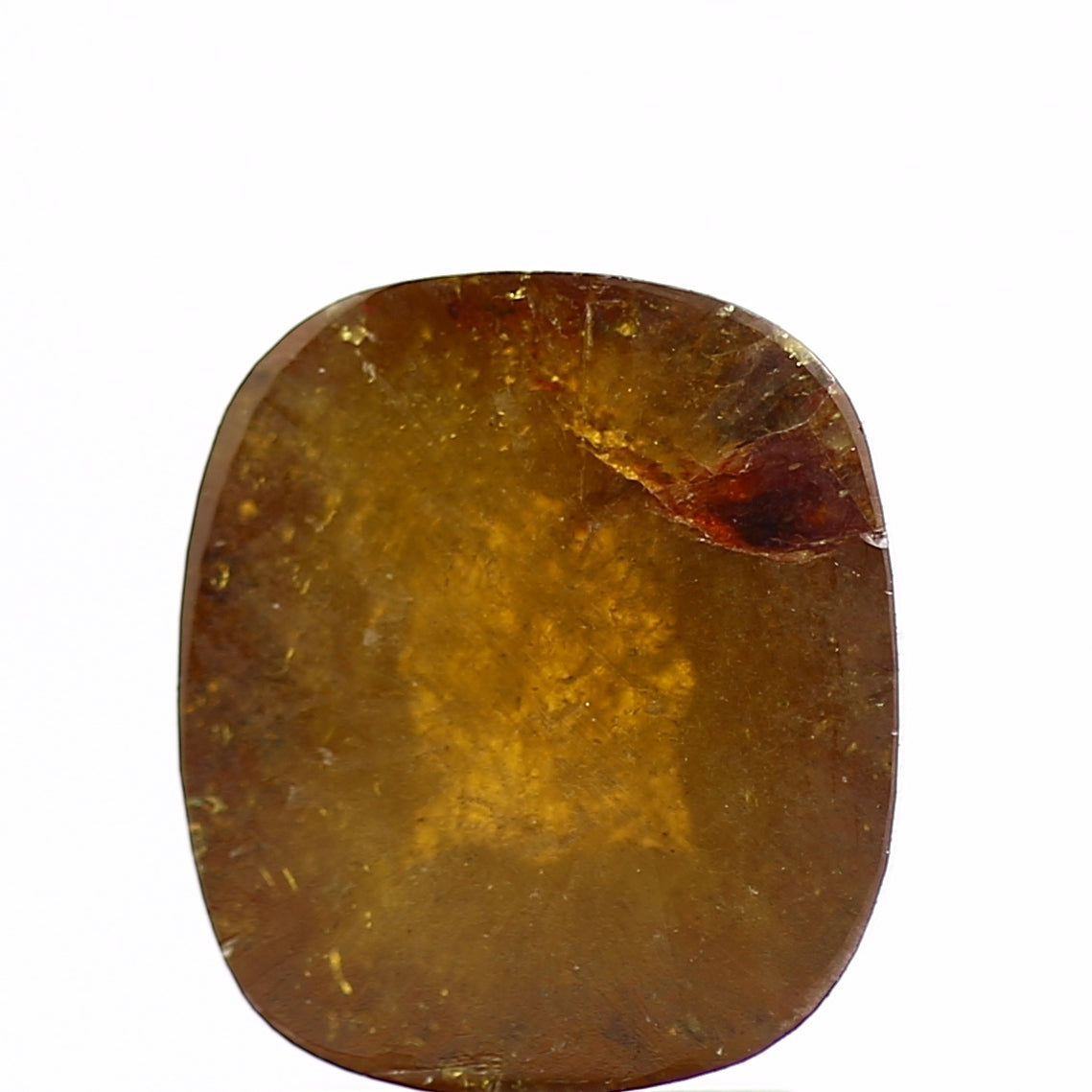 ClariOLED Transparent OLED Display price