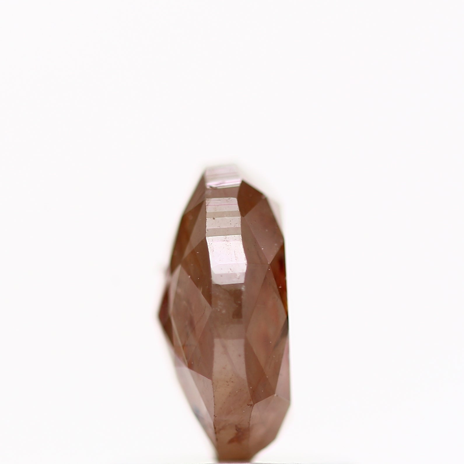 ClariOLED Transparent OLED Display price