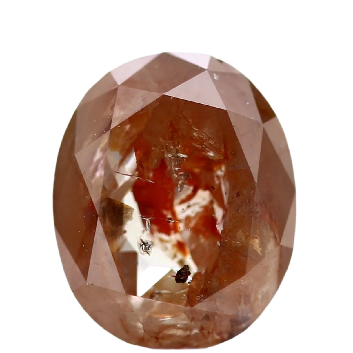 ClariOLED Transparent OLED Display price