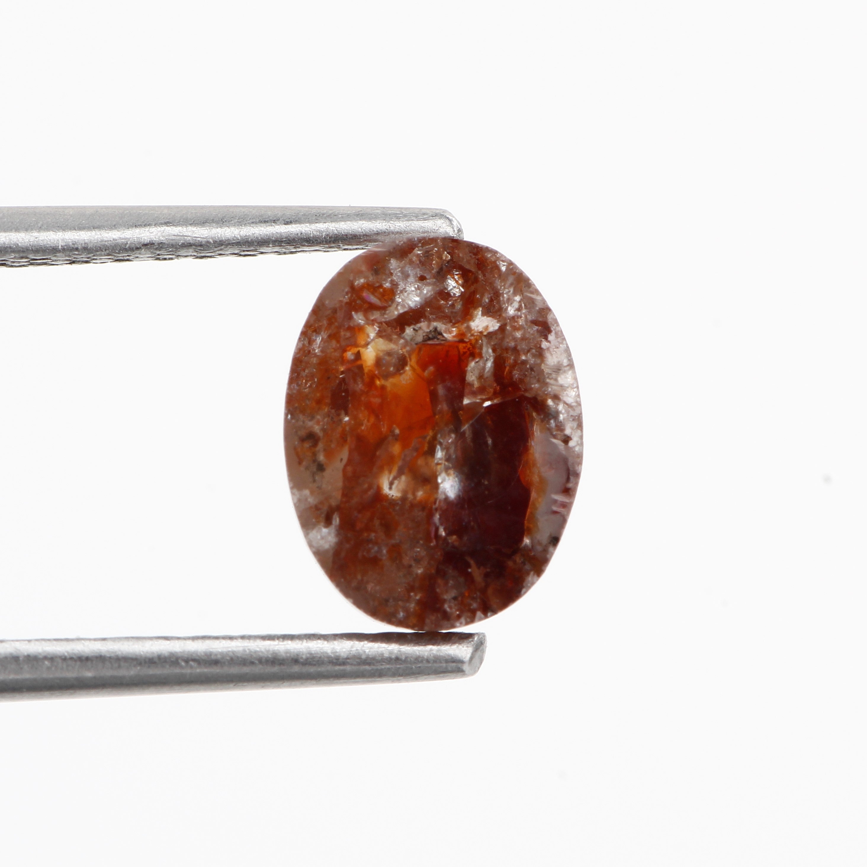 ClariOLED Transparent OLED Display price