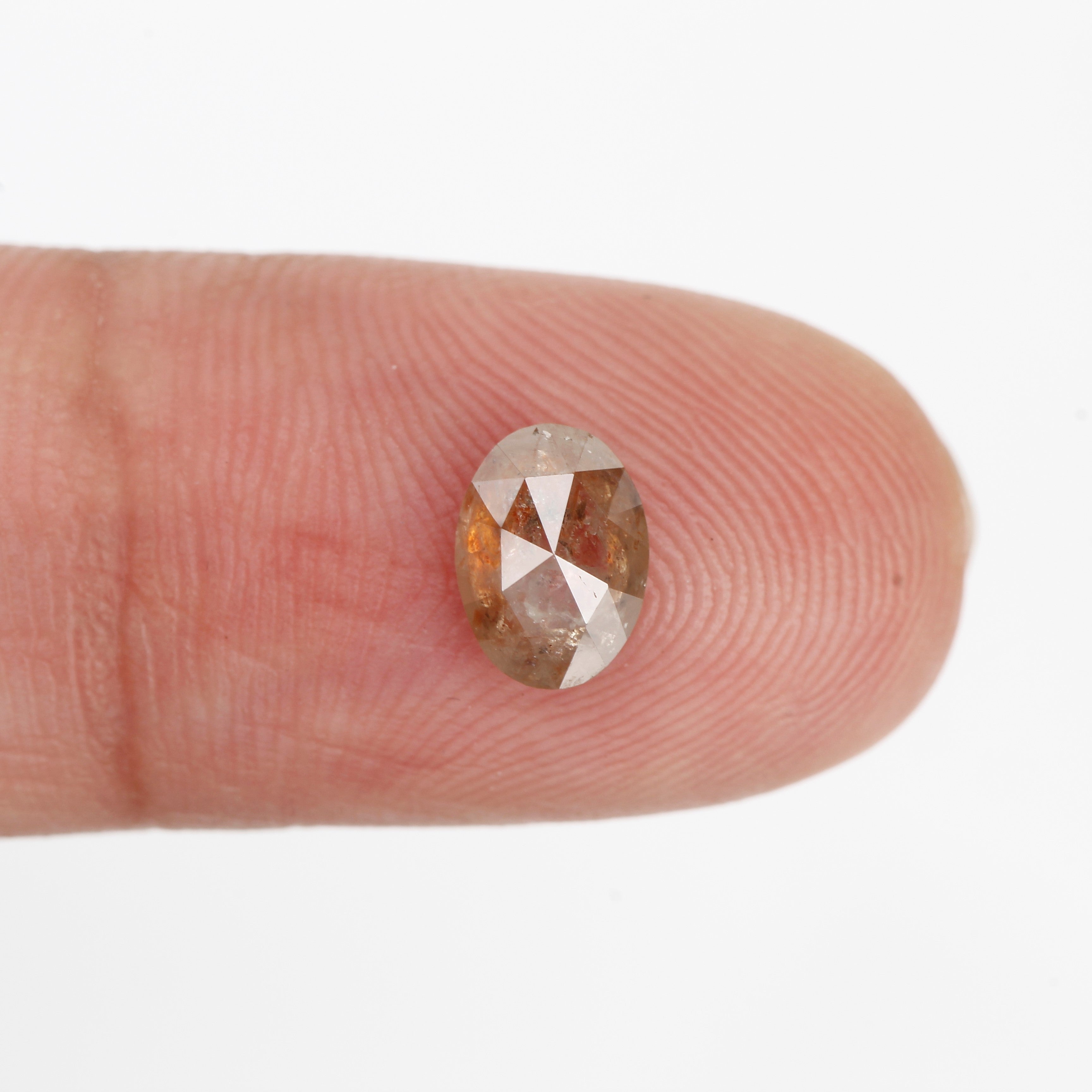 ClariOLED Transparent OLED Display price