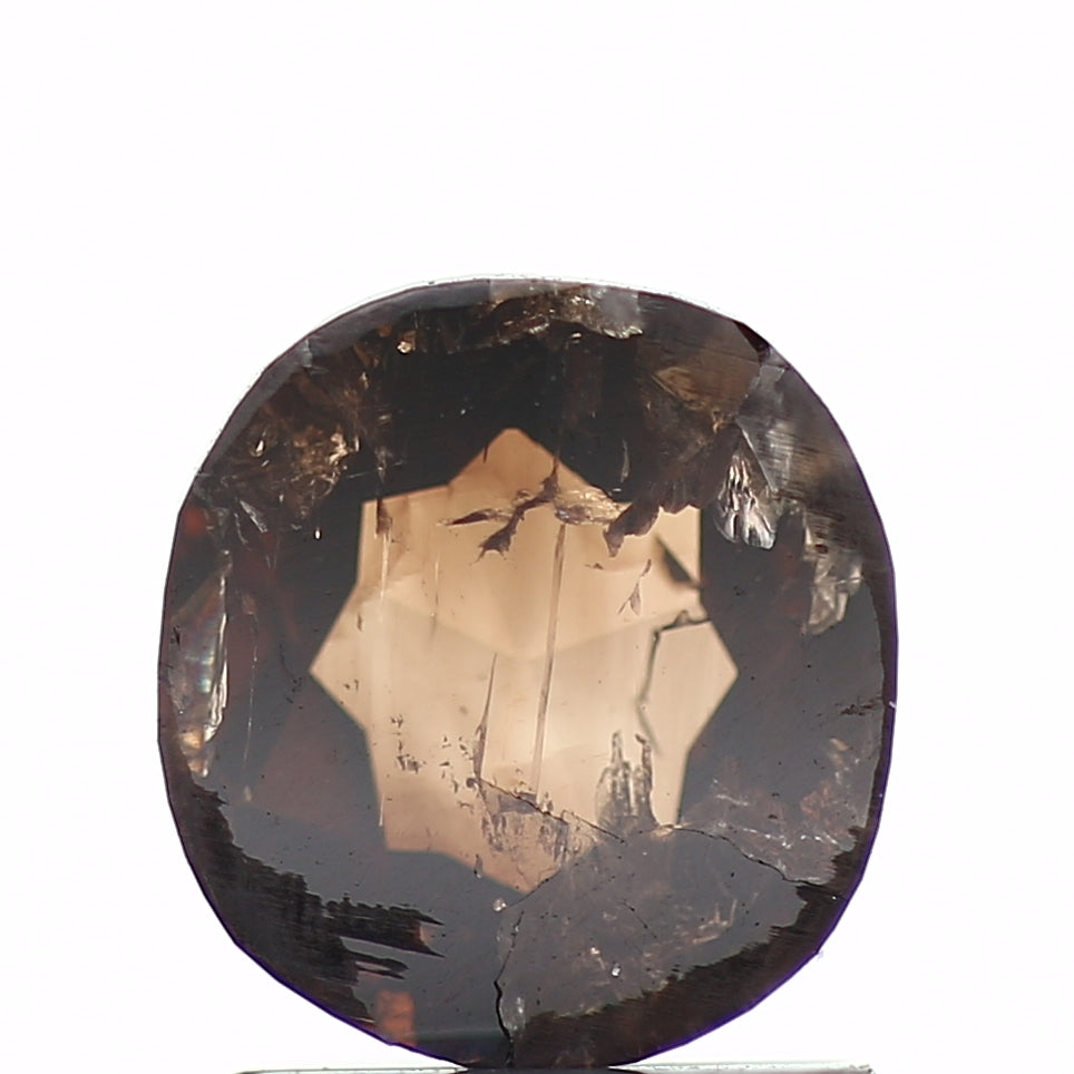 ClariOLED Transparent OLED Display price