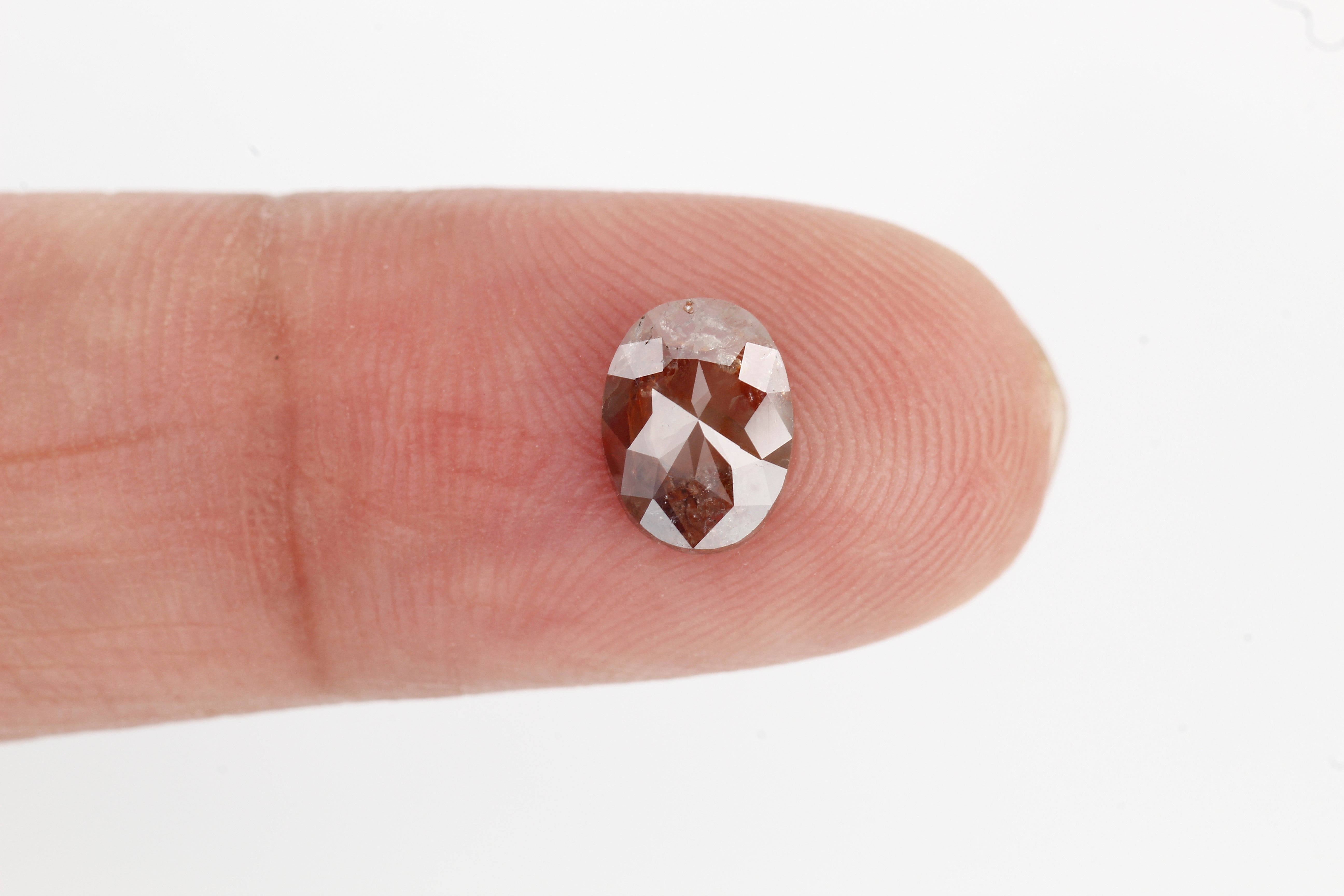 ClariOLED Transparent OLED Display price