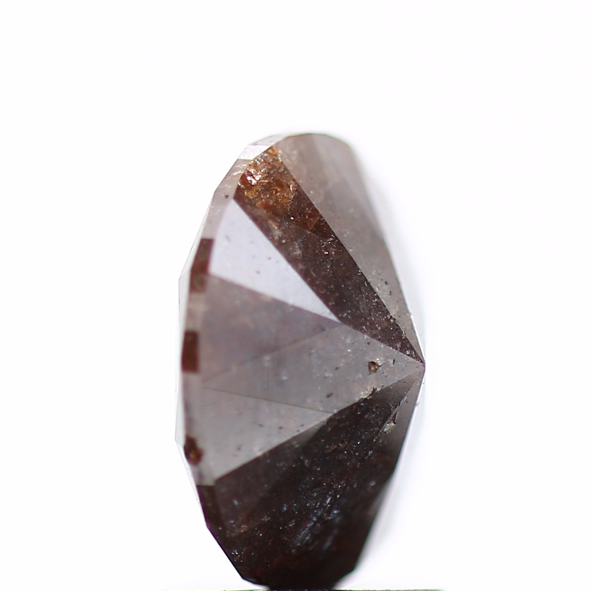 ClariOLED Transparent OLED Display price