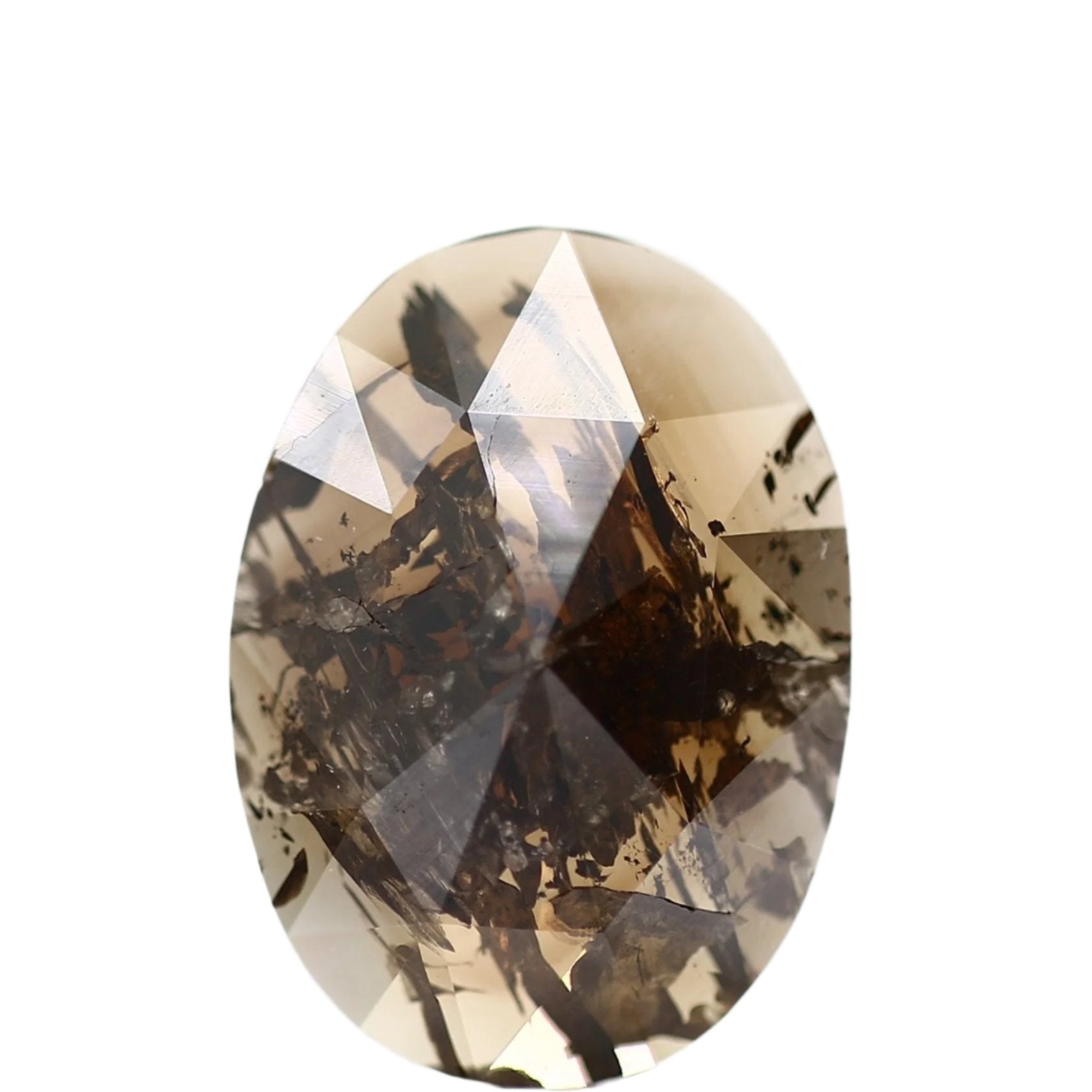 ClariOLED Transparent OLED Display price