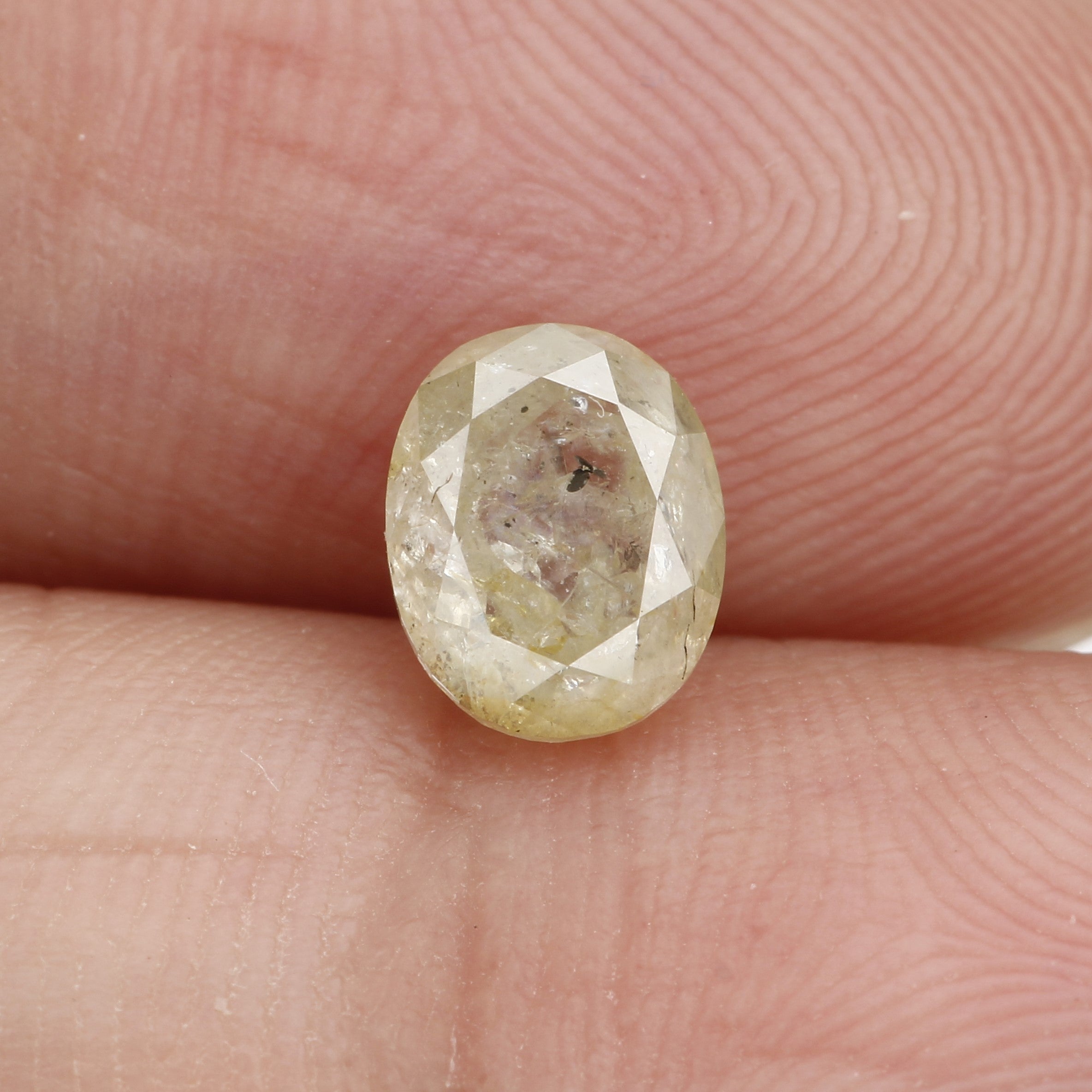 ClariOLED Transparent OLED Display price