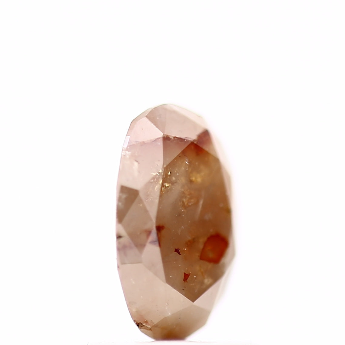 ClariOLED Transparent OLED Display price