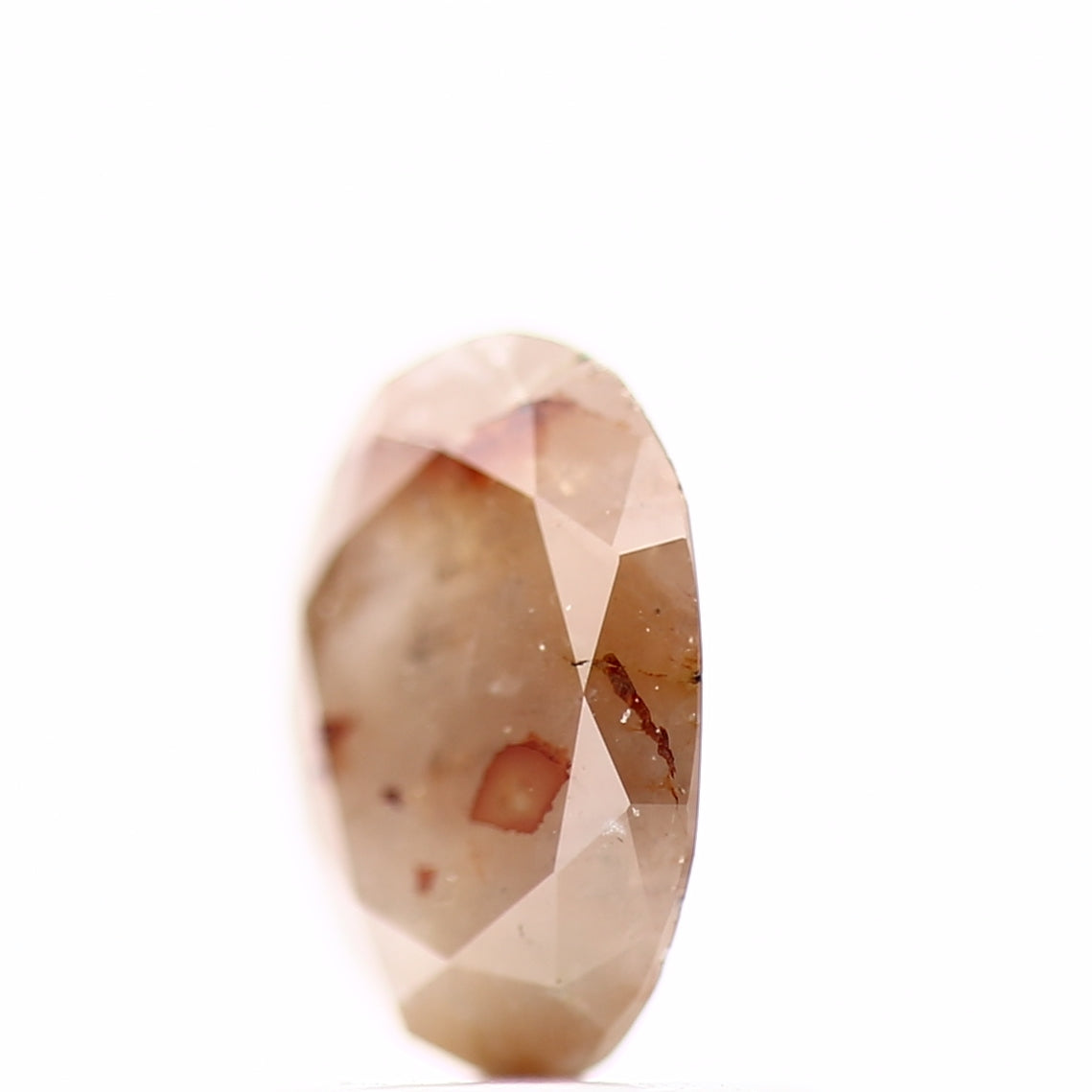 ClariOLED Transparent OLED Display price