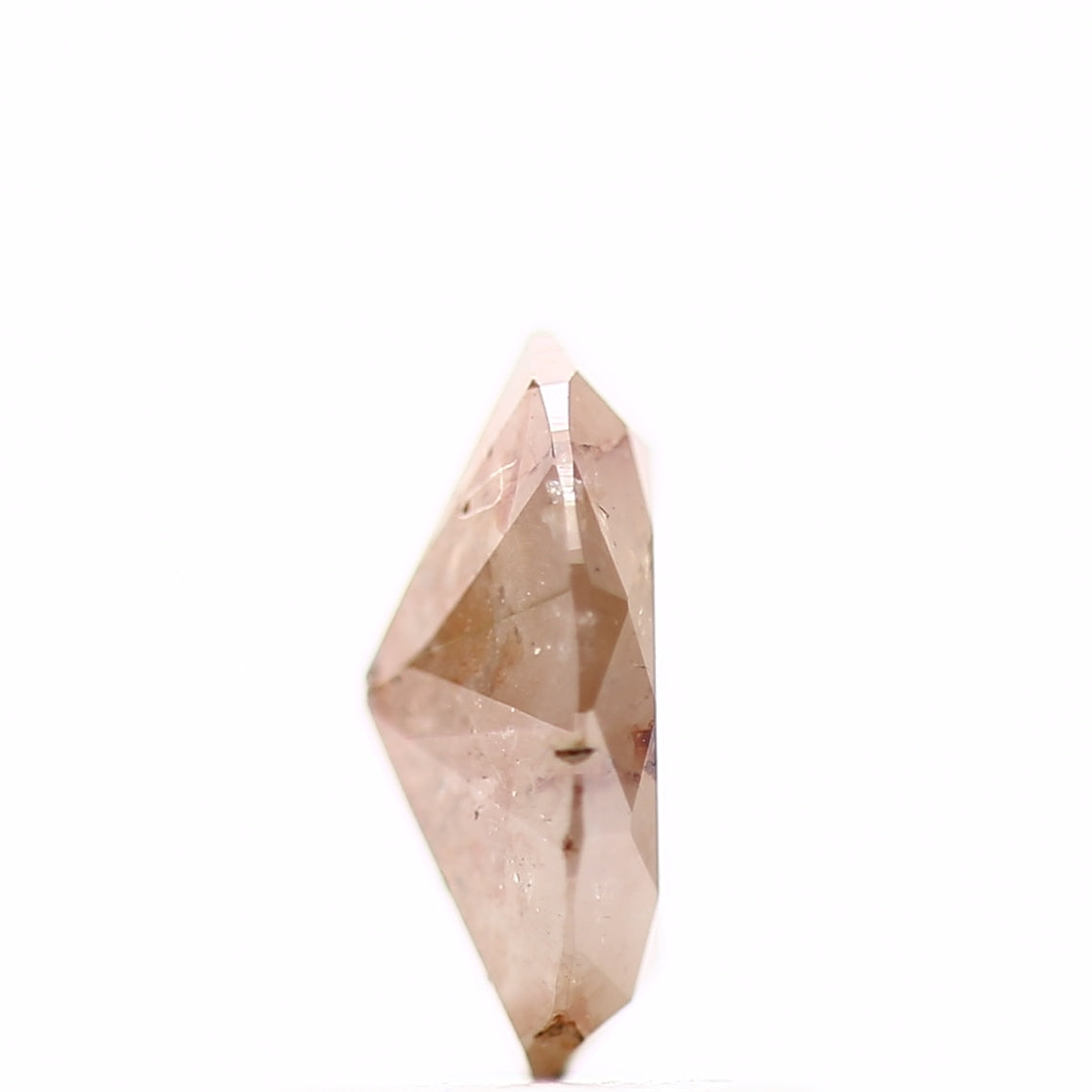 ClariOLED Transparent OLED Display price