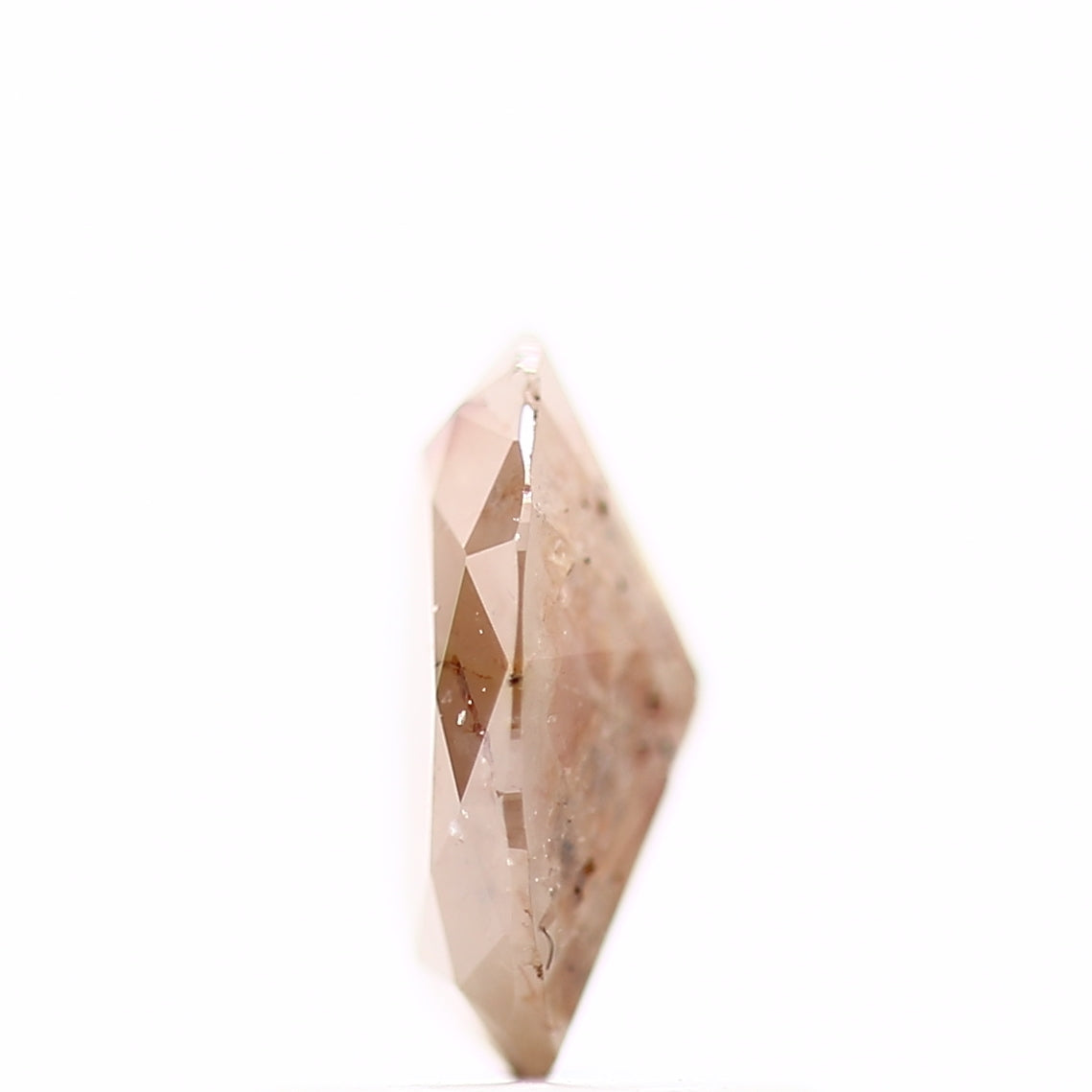 ClariOLED Transparent OLED Display price