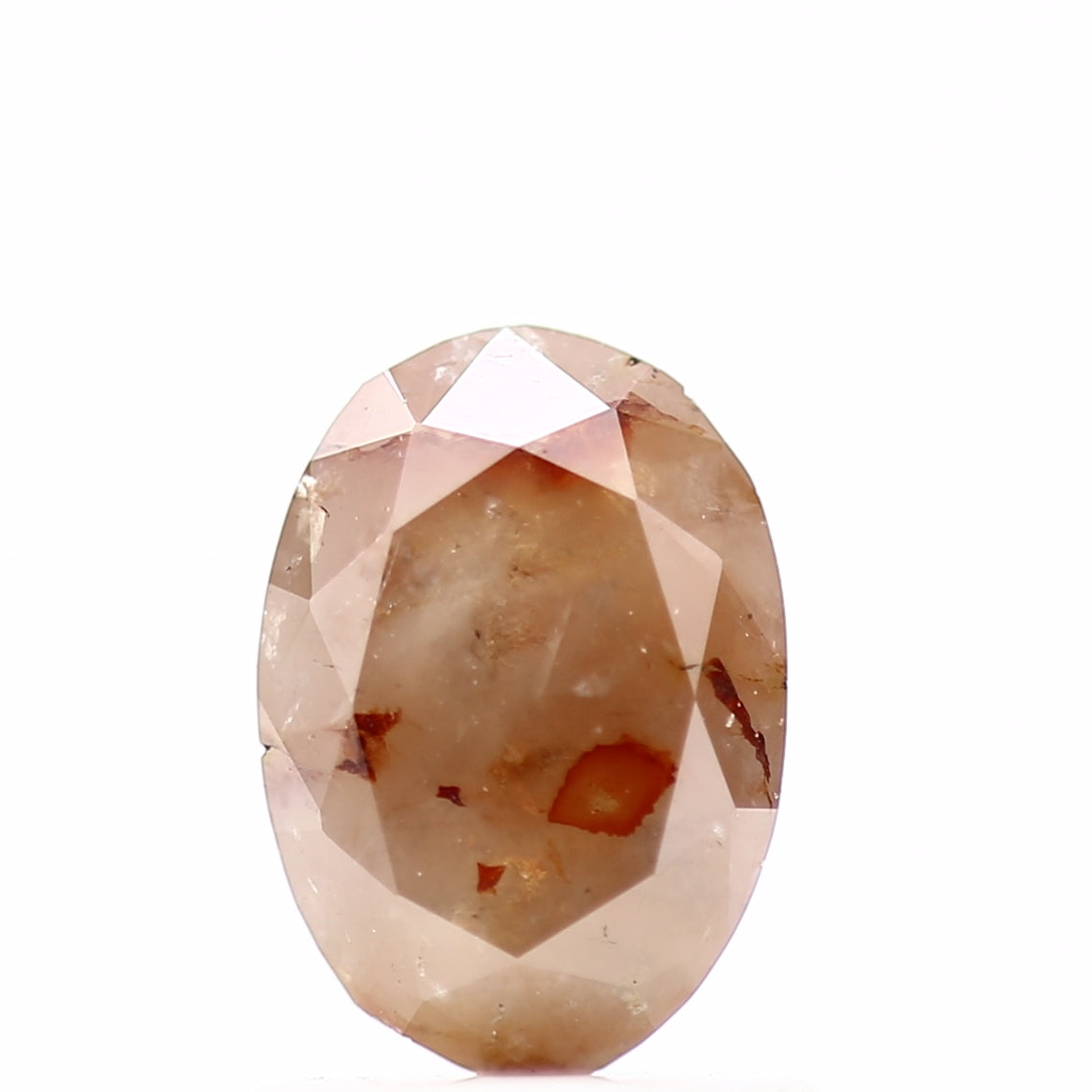 ClariOLED Transparent OLED Display price