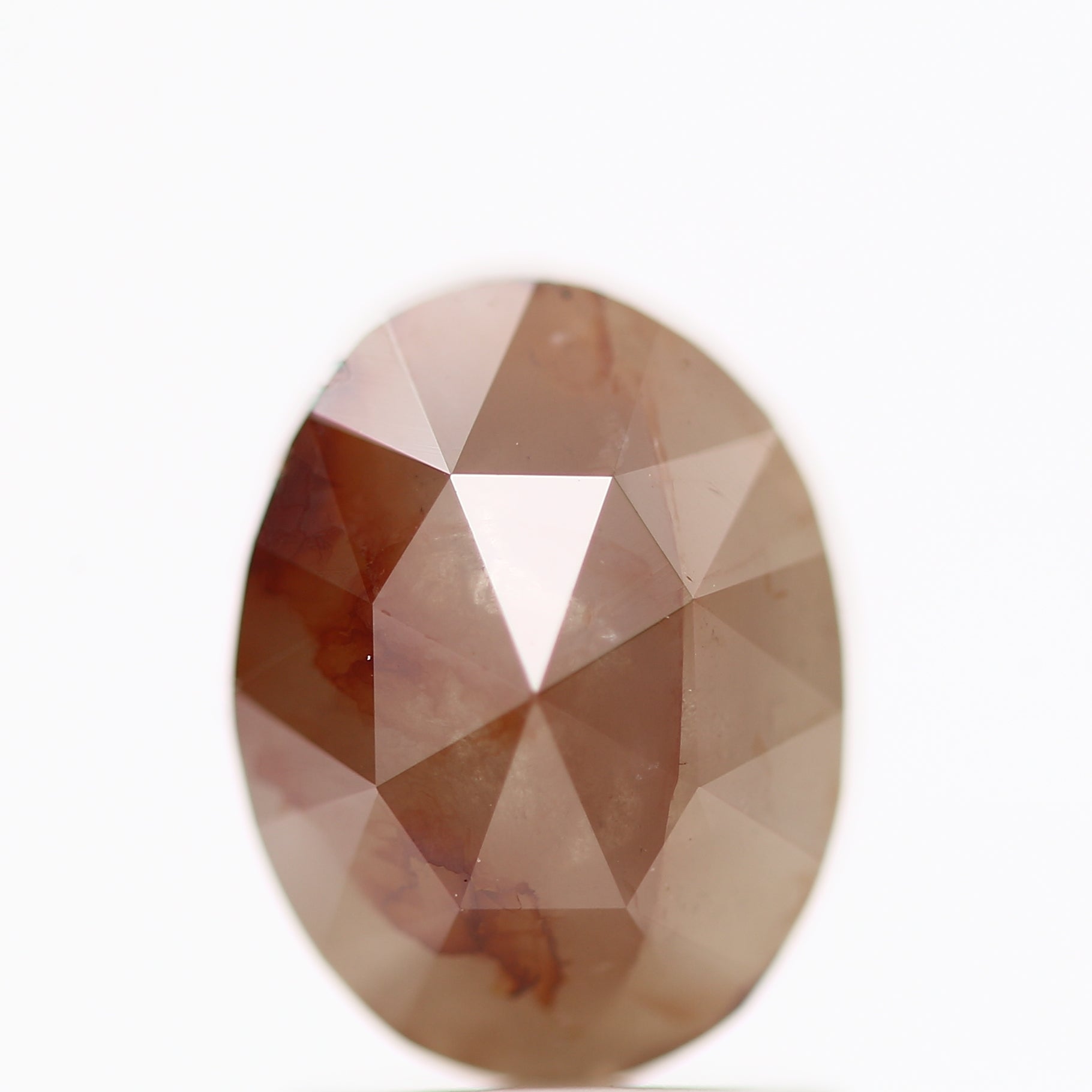 ClariOLED Transparent OLED Display price