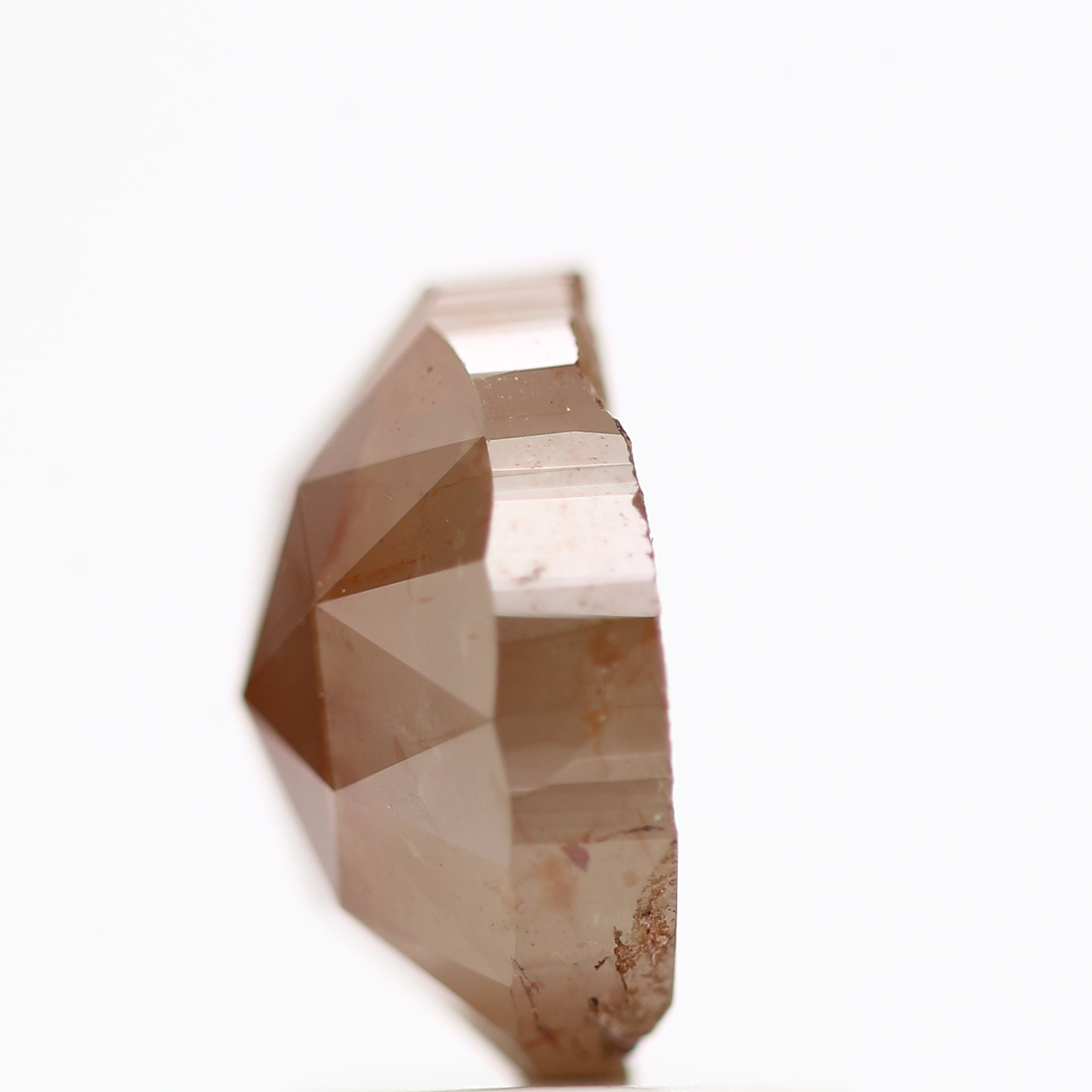 ClariOLED Transparent OLED Display price