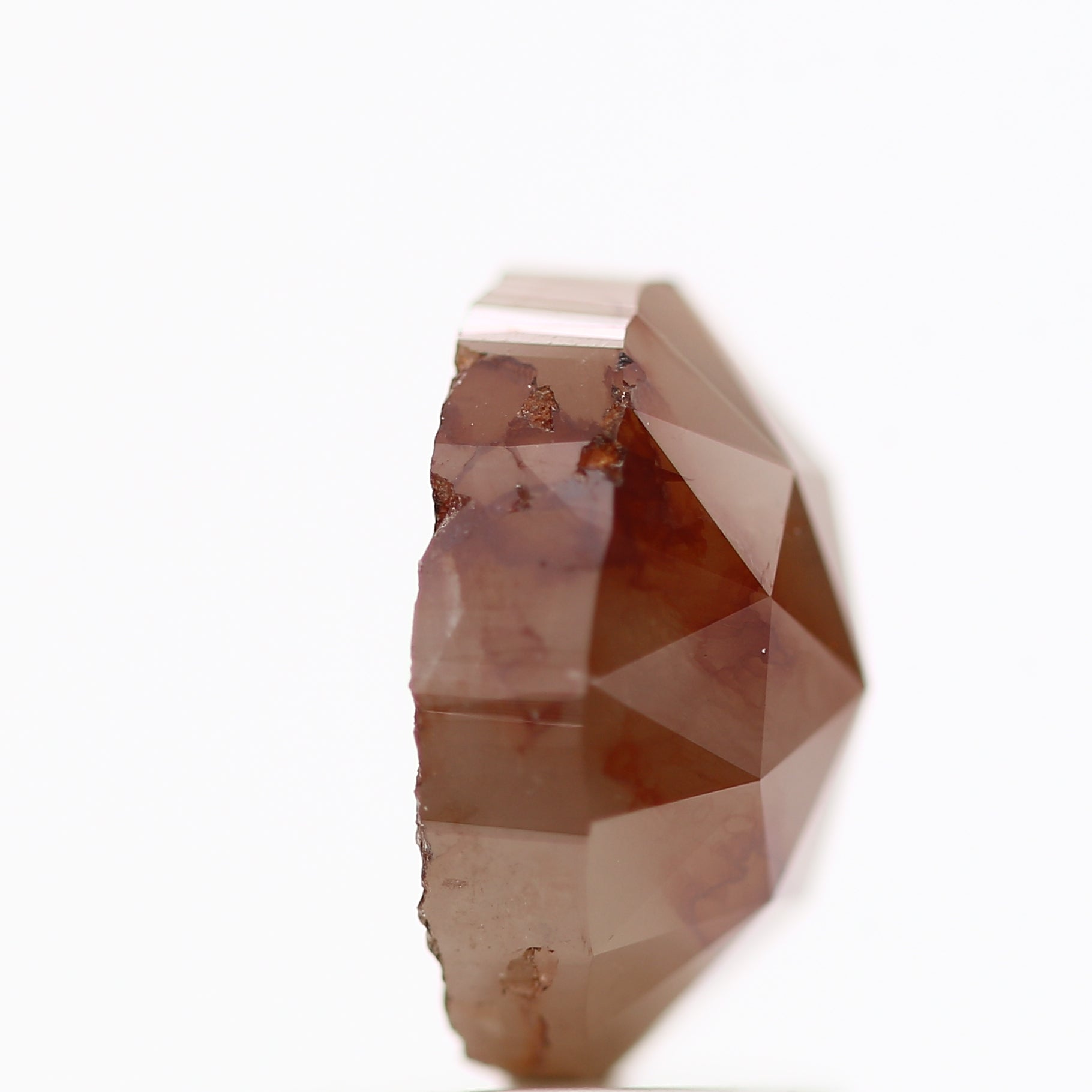 ClariOLED Transparent OLED Display price