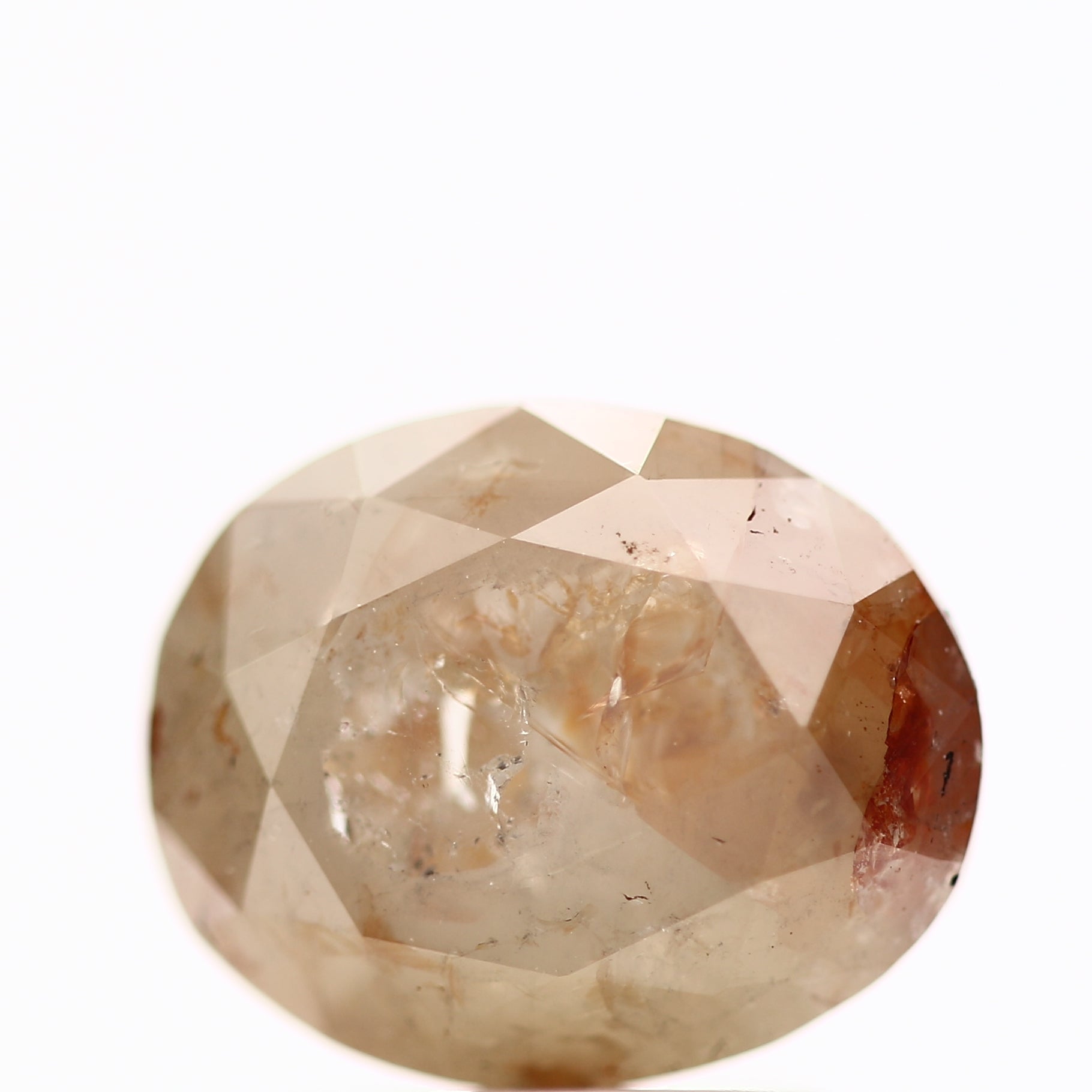 ClariOLED Transparent OLED Display price