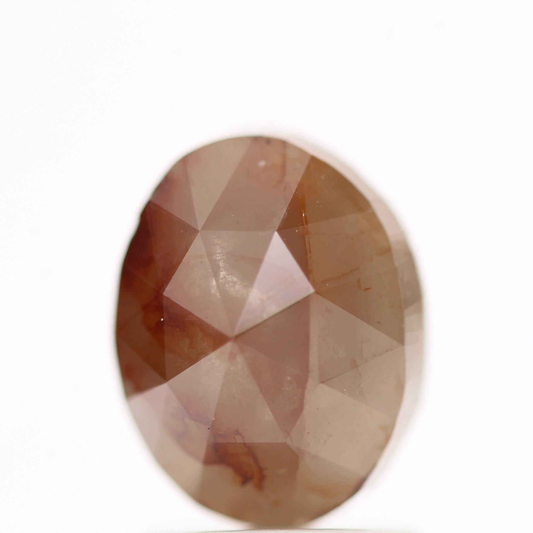 ClariOLED Transparent OLED Display price