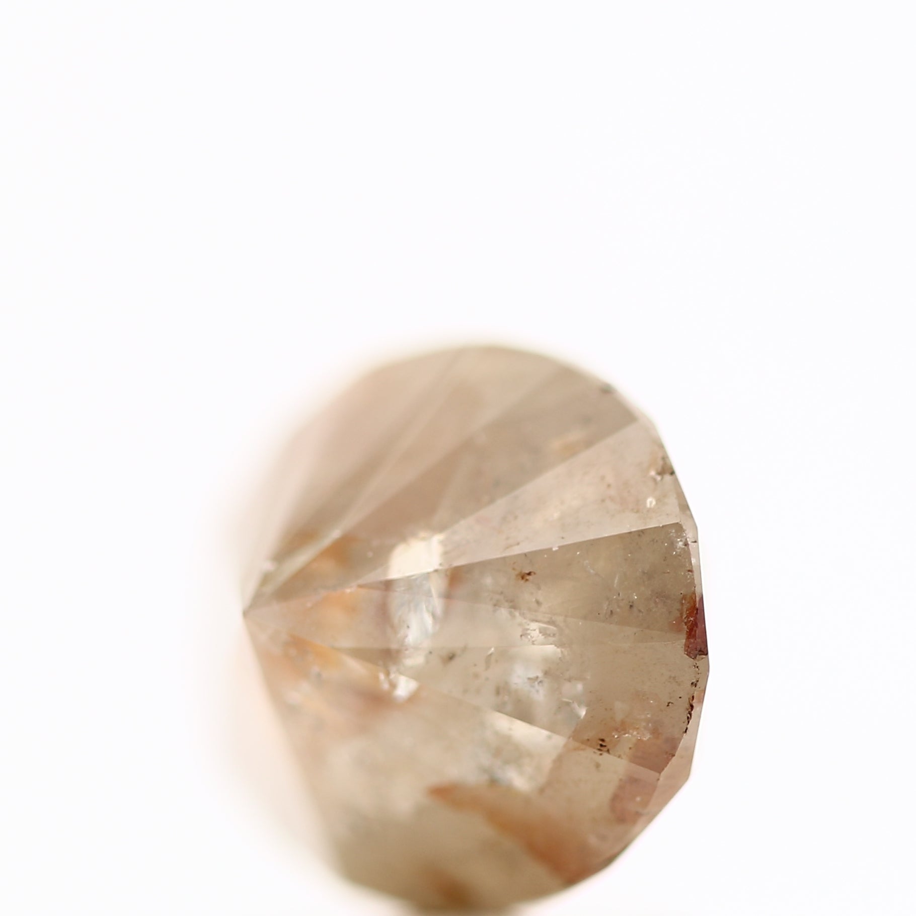 ClariOLED Transparent OLED Display price