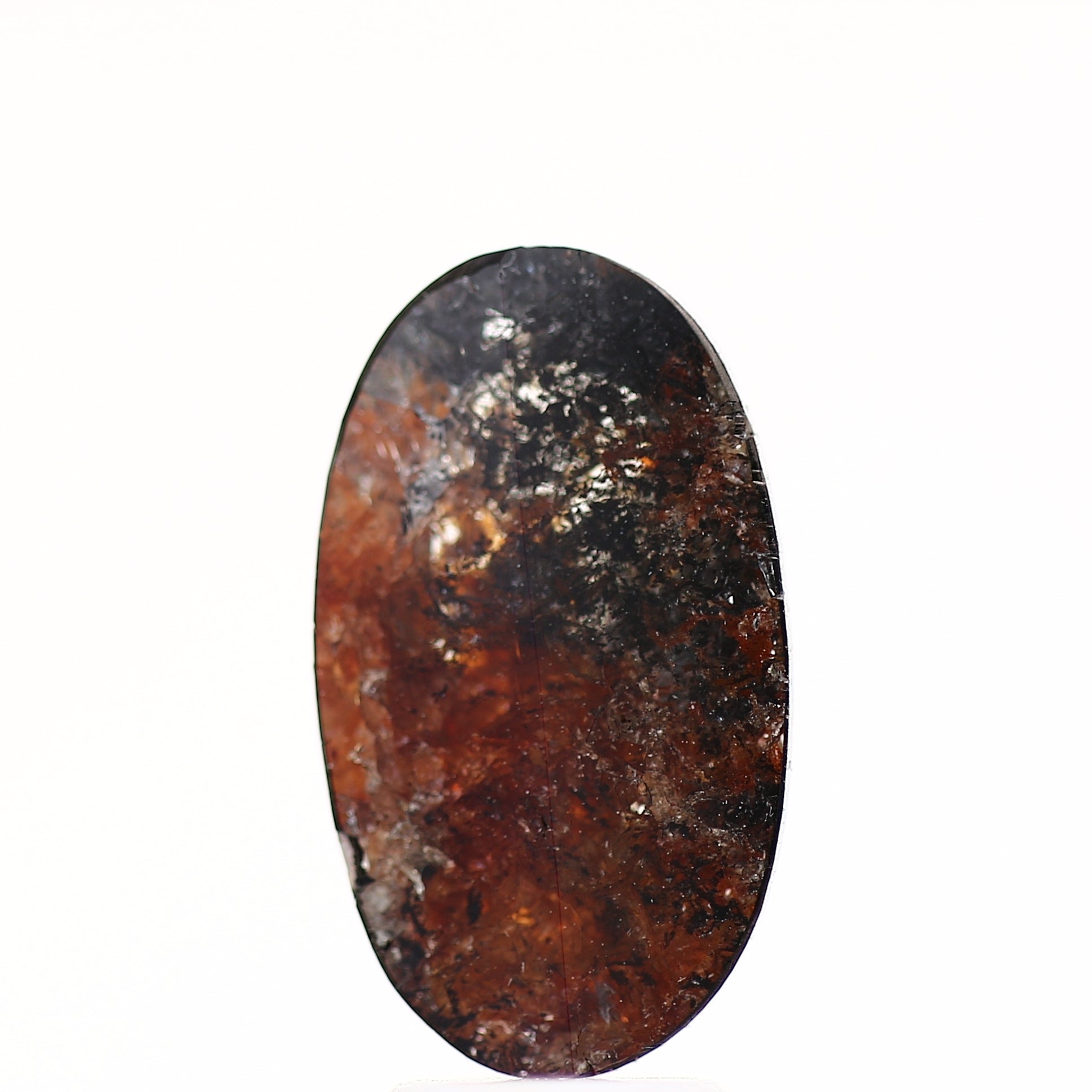 ClariOLED Transparent OLED Display price