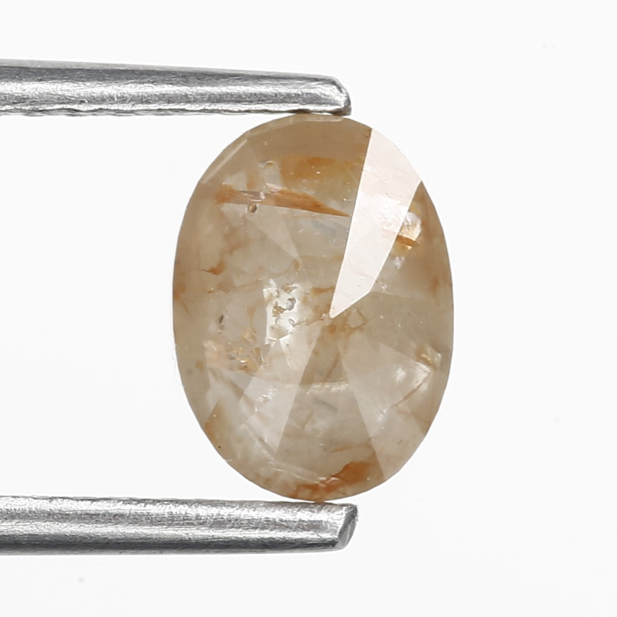 ClariOLED Transparent OLED Display price