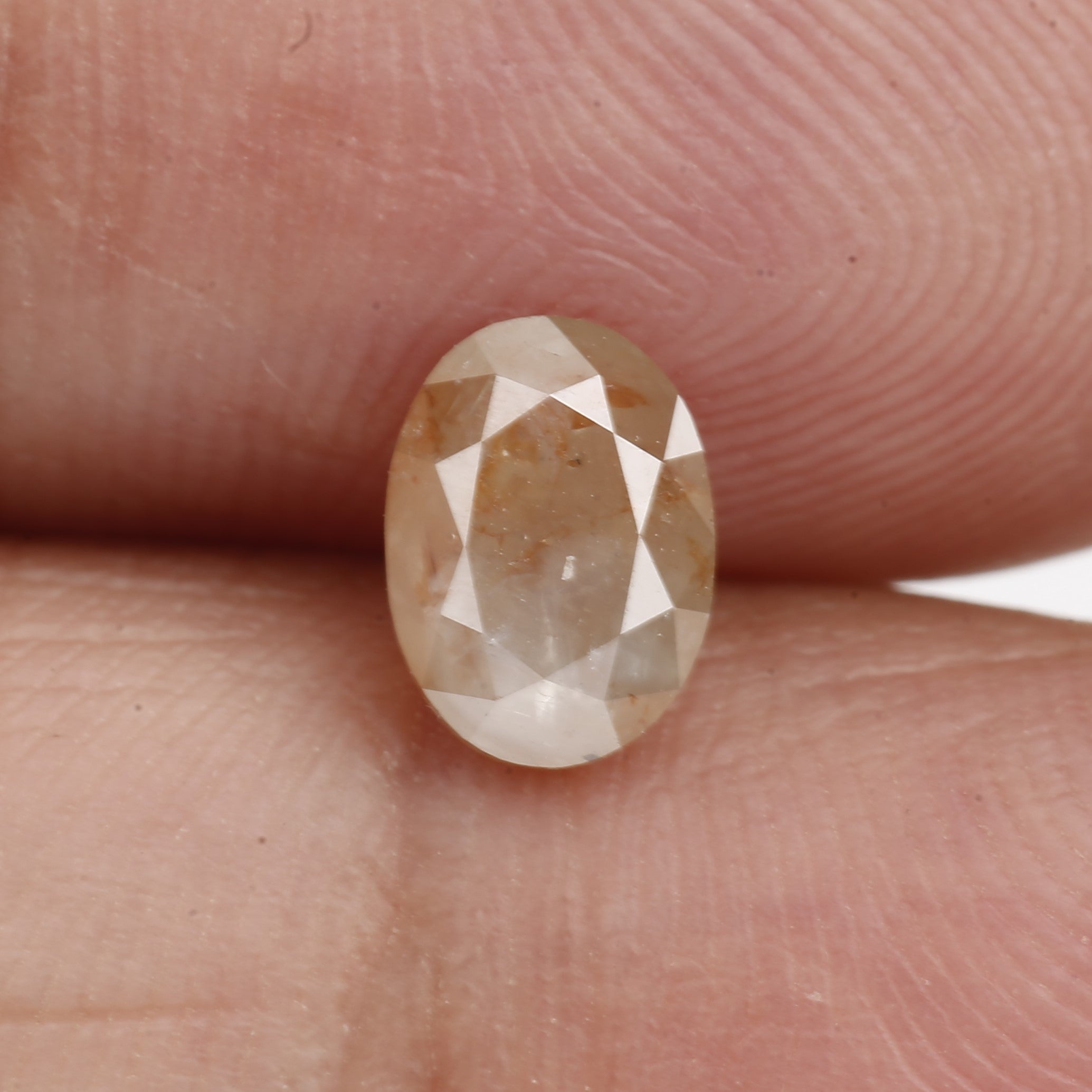 ClariOLED Transparent OLED Display price