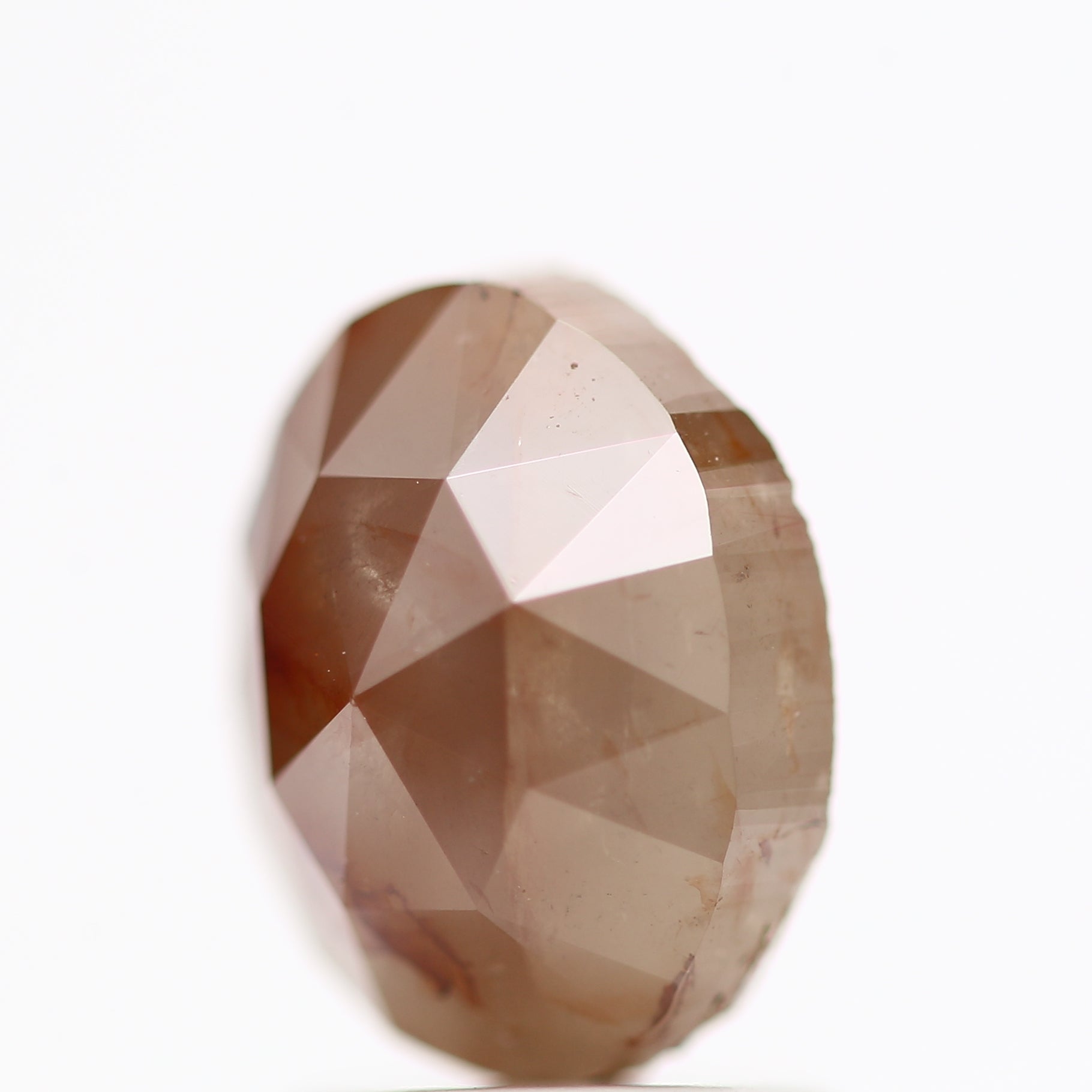 ClariOLED Transparent OLED Display price