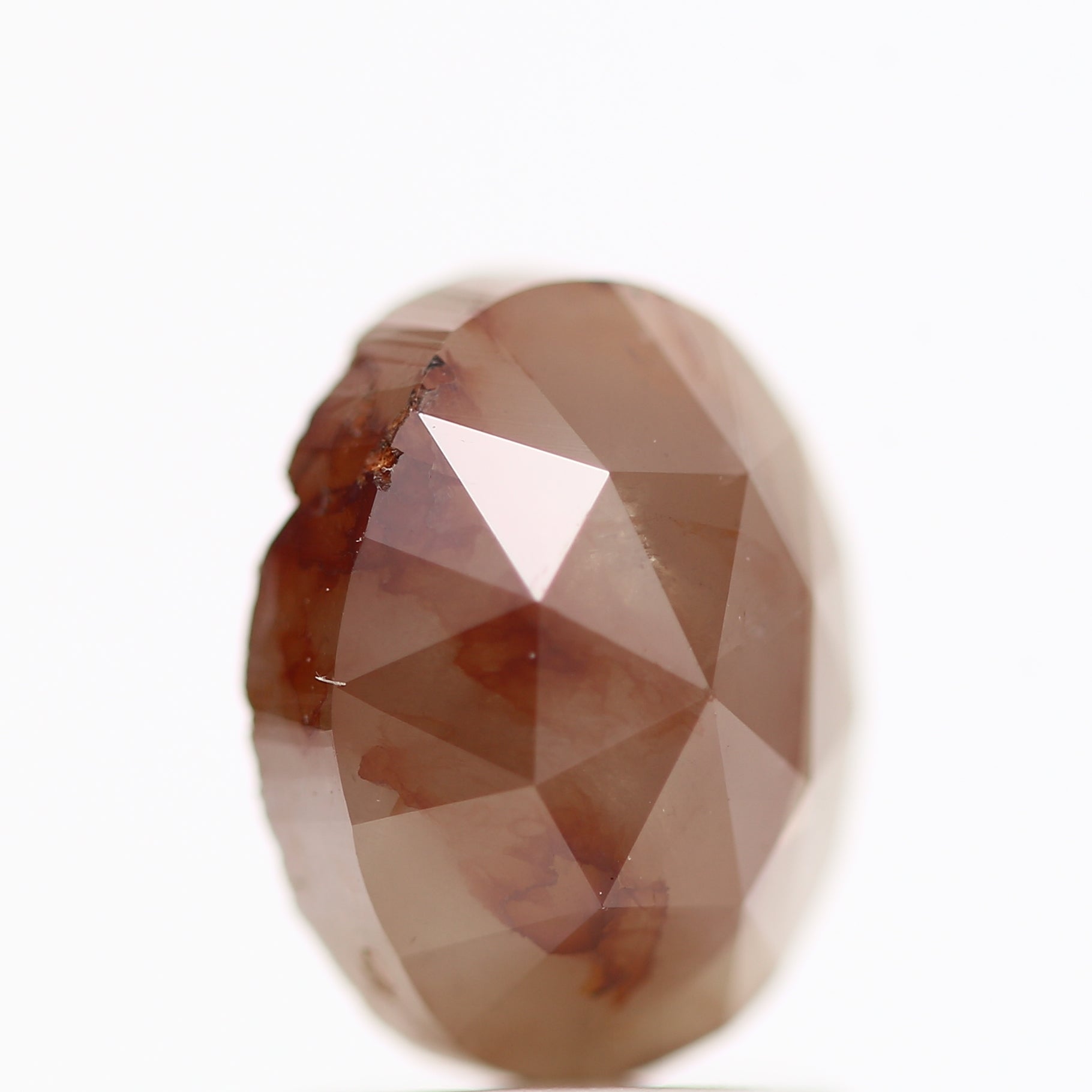 ClariOLED Transparent OLED Display price