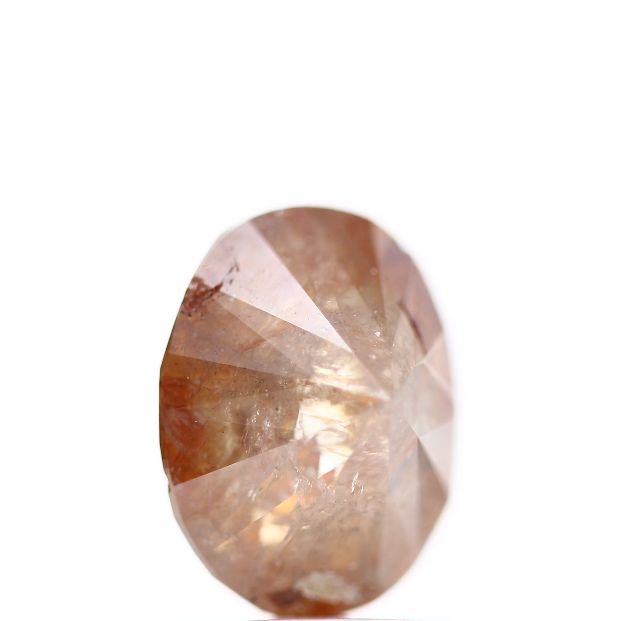 ClariOLED Transparent OLED Display price