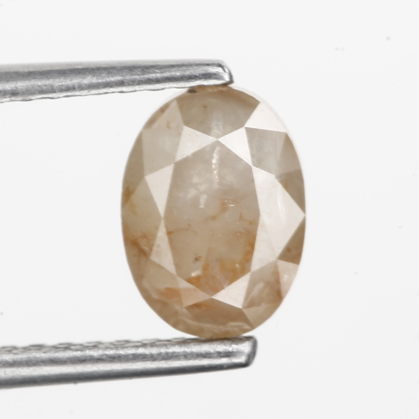 ClariOLED Transparent OLED Display price