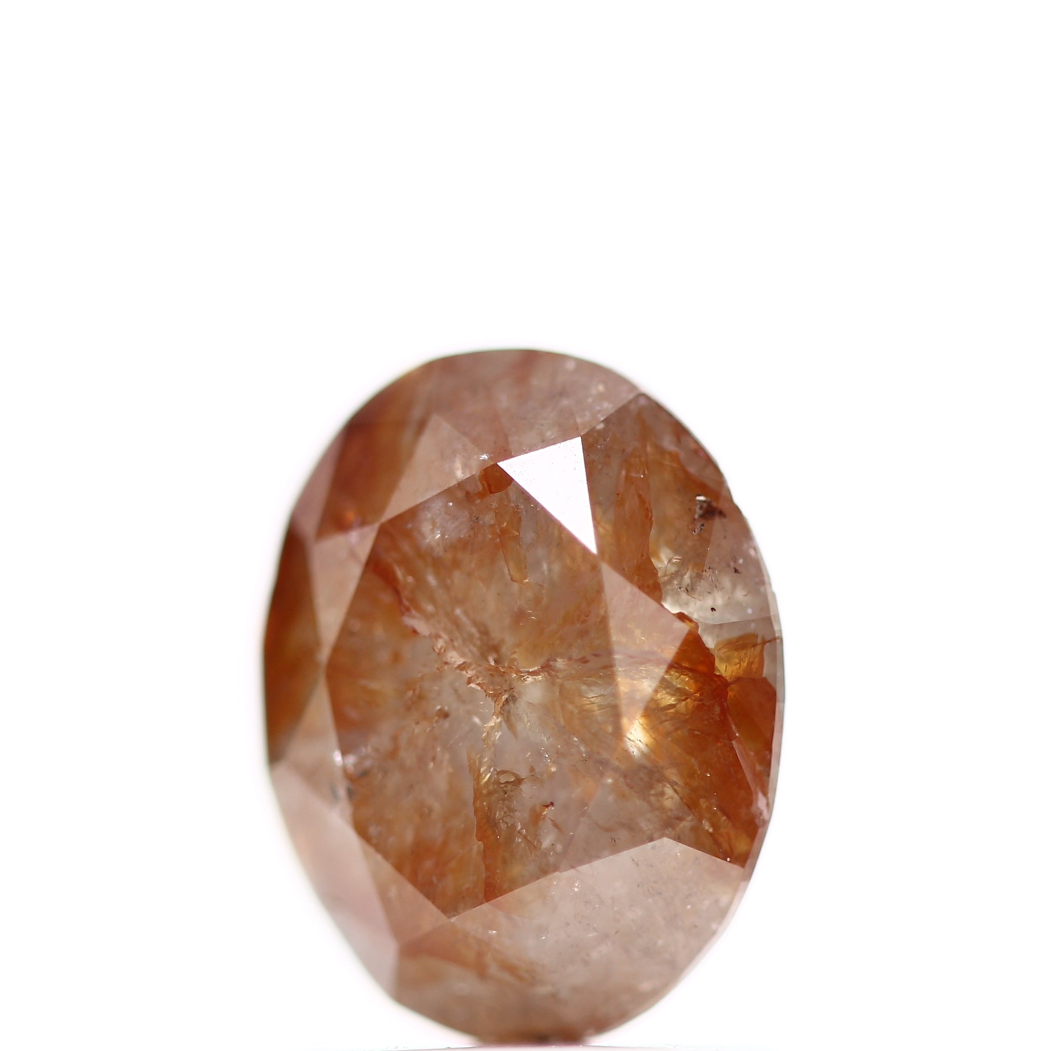 ClariOLED Transparent OLED Display price