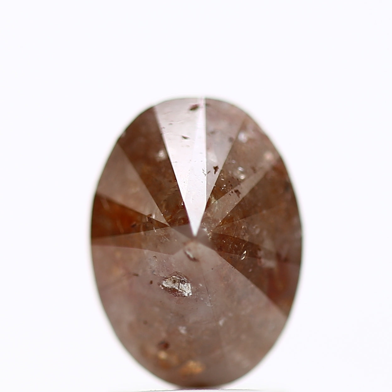 ClariOLED Transparent OLED Display price