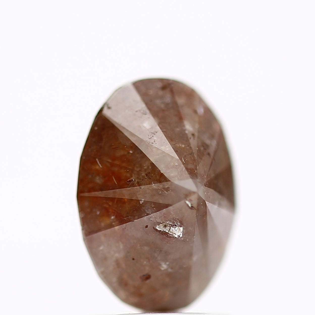 ClariOLED Transparent OLED Display price