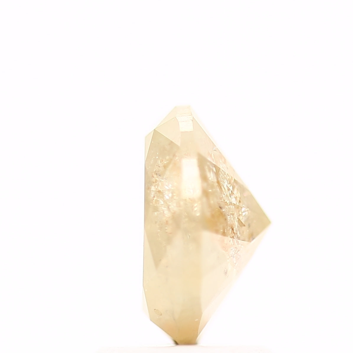 ClariOLED Transparent OLED Display price