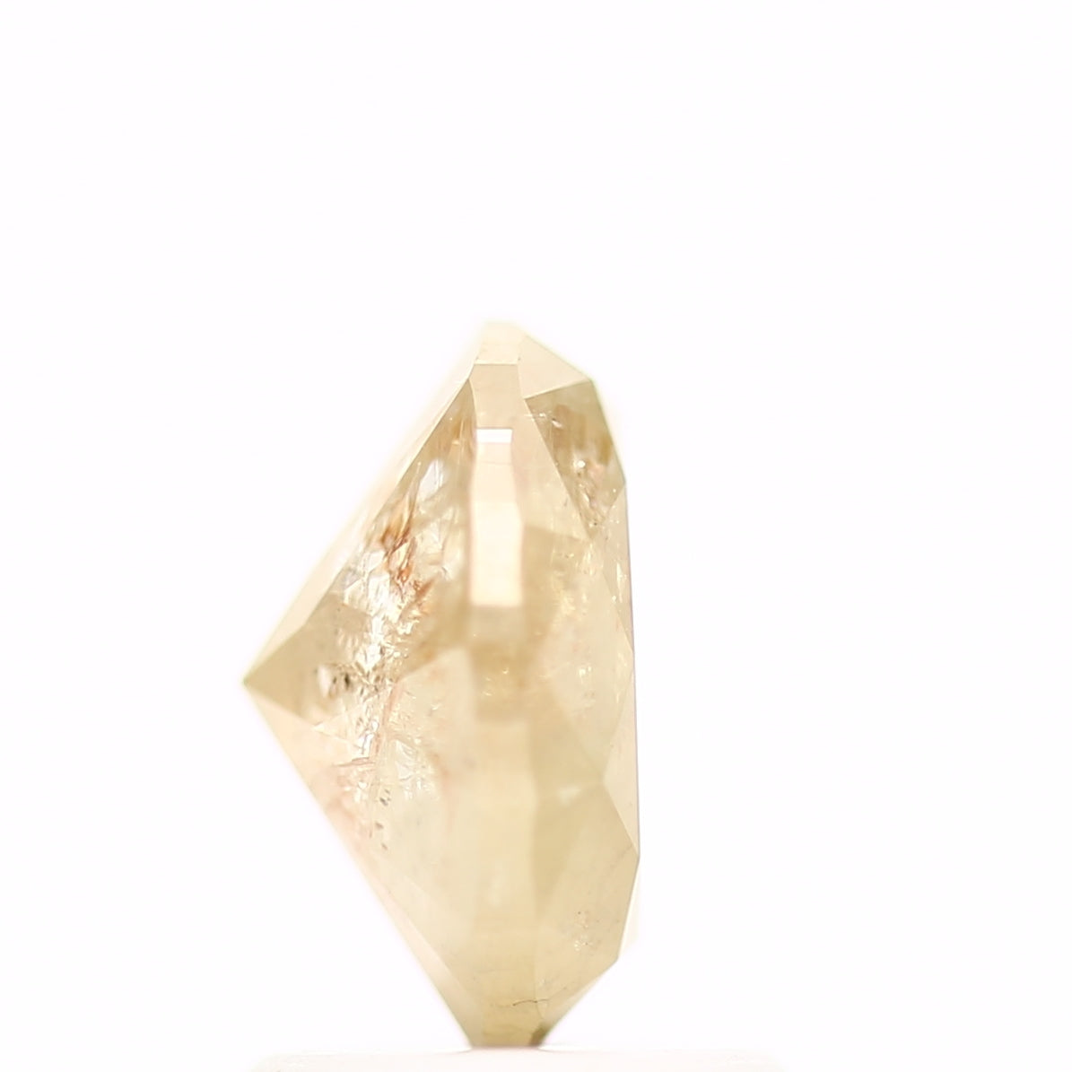 ClariOLED Transparent OLED Display price