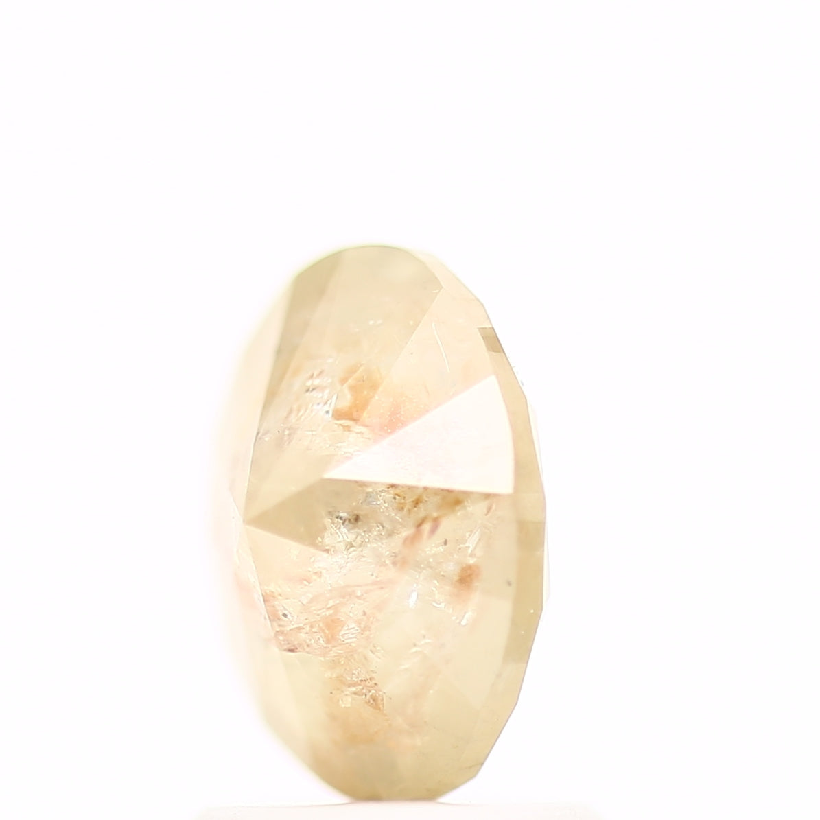 ClariOLED Transparent OLED Display price