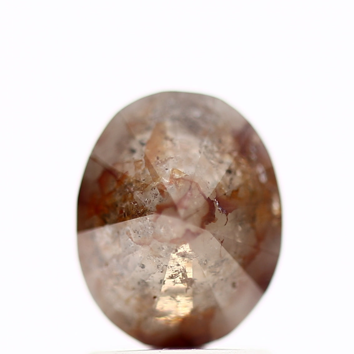 ClariOLED Transparent OLED Display price