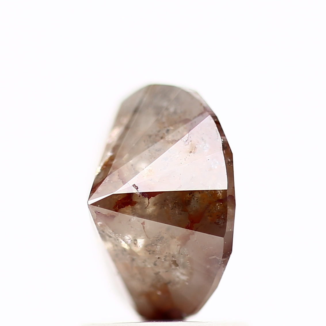 ClariOLED Transparent OLED Display price