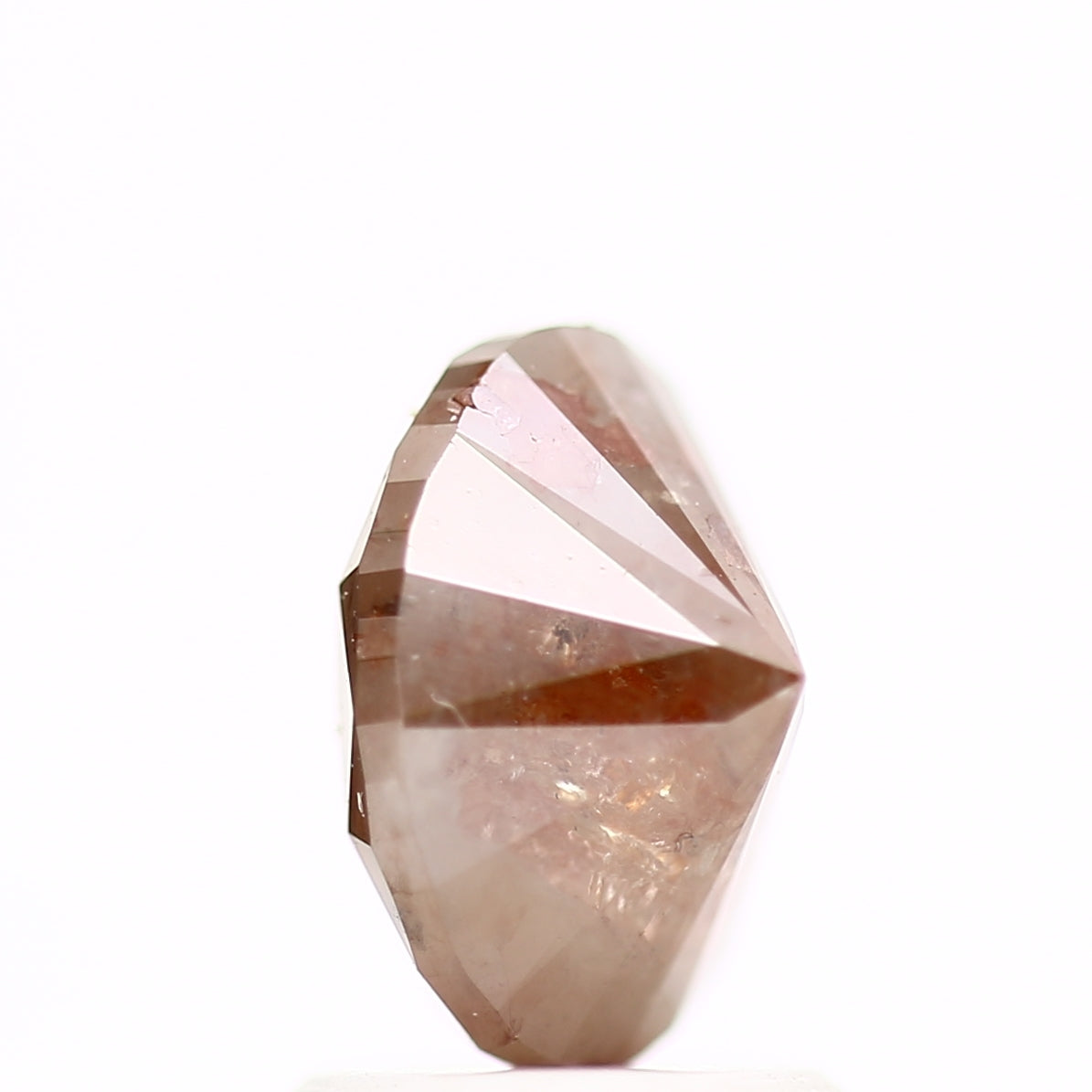 ClariOLED Transparent OLED Display price