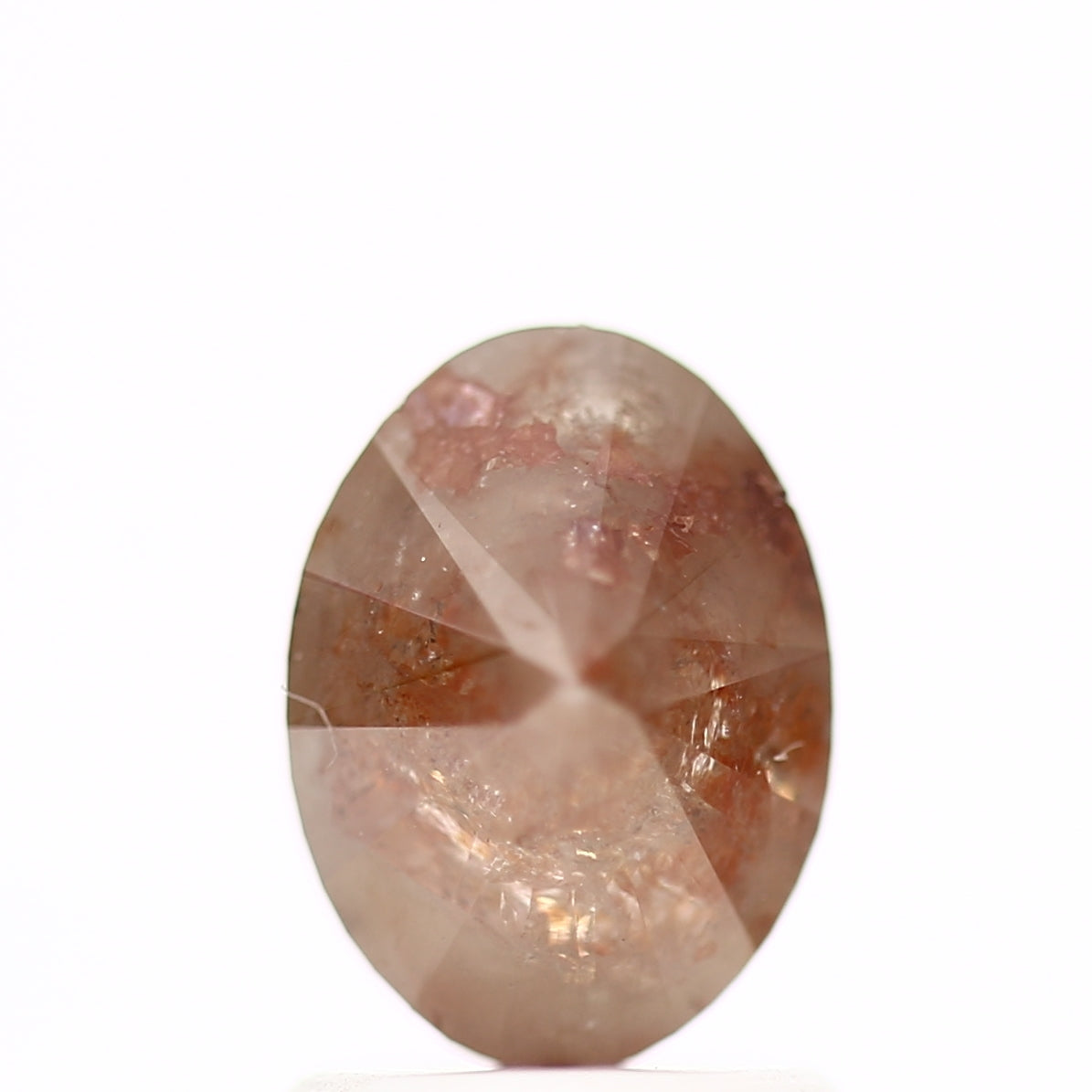 ClariOLED Transparent OLED Display price