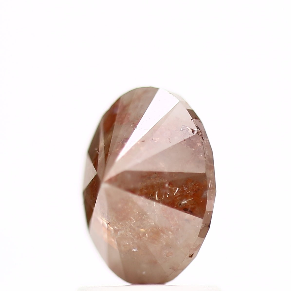 ClariOLED Transparent OLED Display price