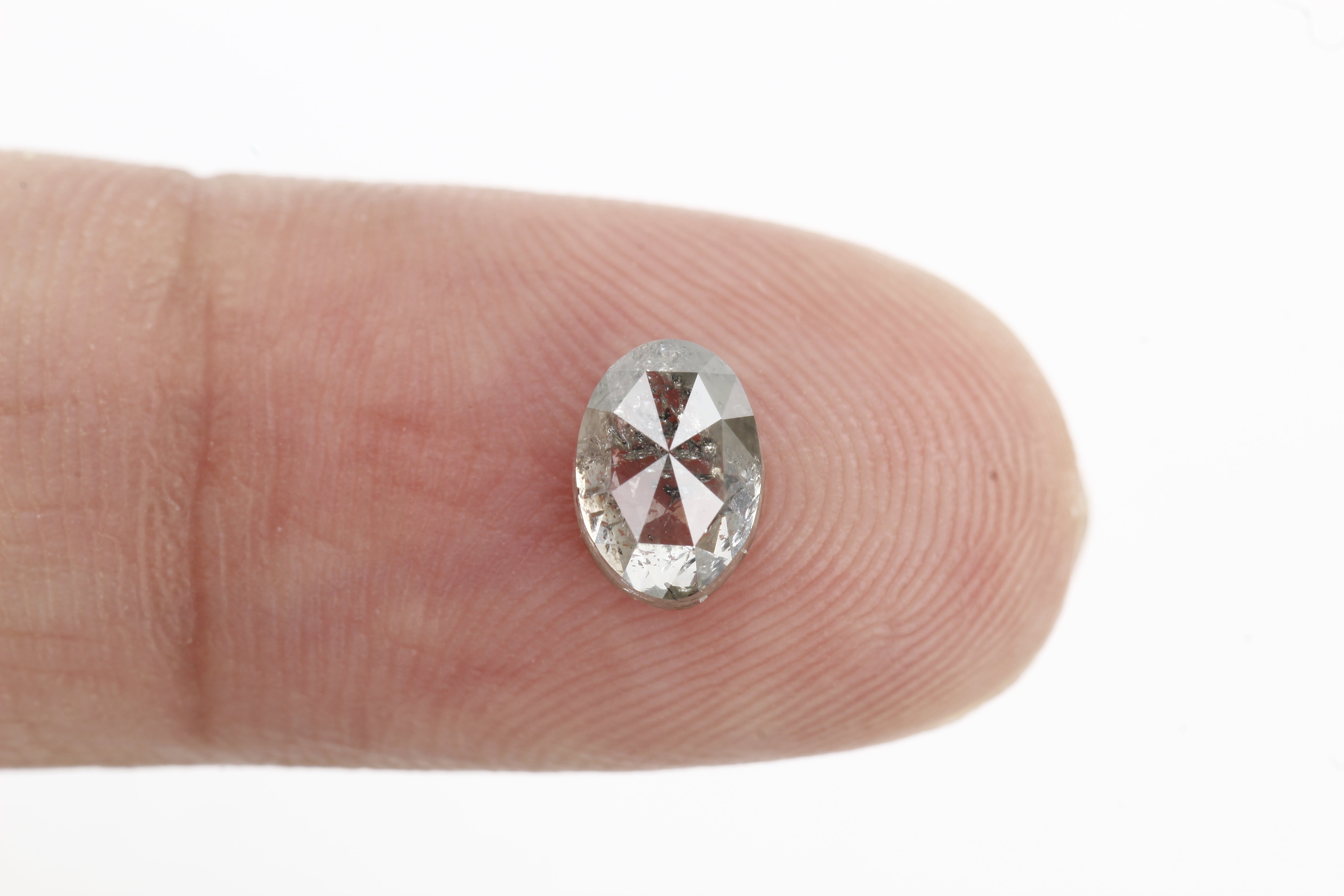 ClariOLED Transparent OLED Display price