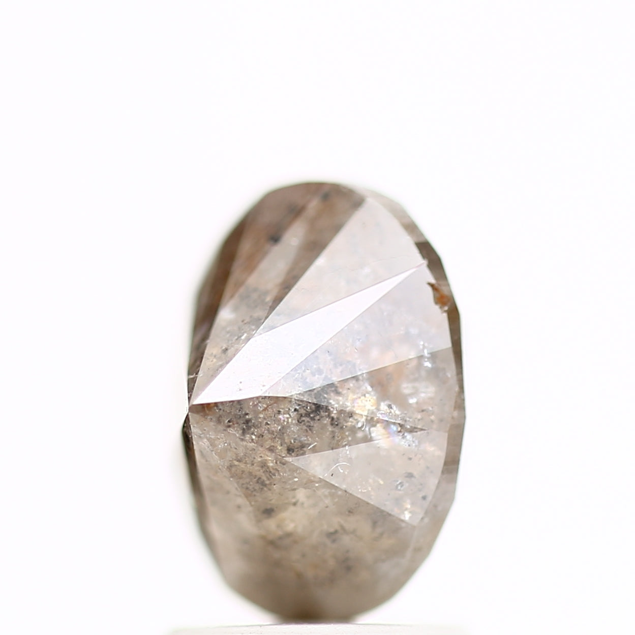 ClariOLED Transparent OLED Display price