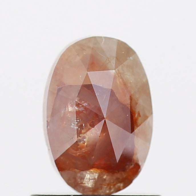 ClariOLED Transparent OLED Display price