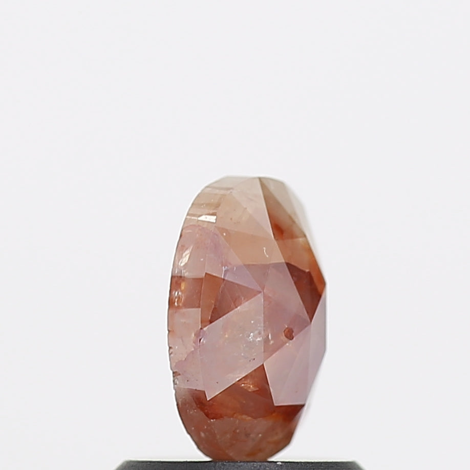 ClariOLED Transparent OLED Display price