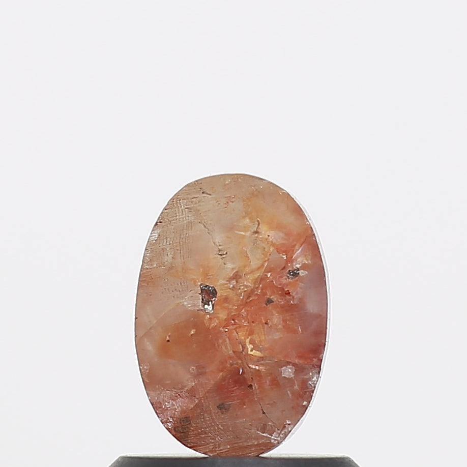 ClariOLED Transparent OLED Display price