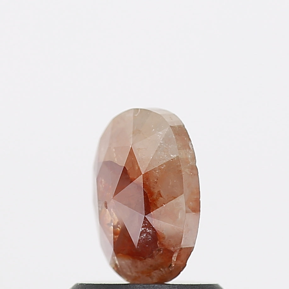 ClariOLED Transparent OLED Display price