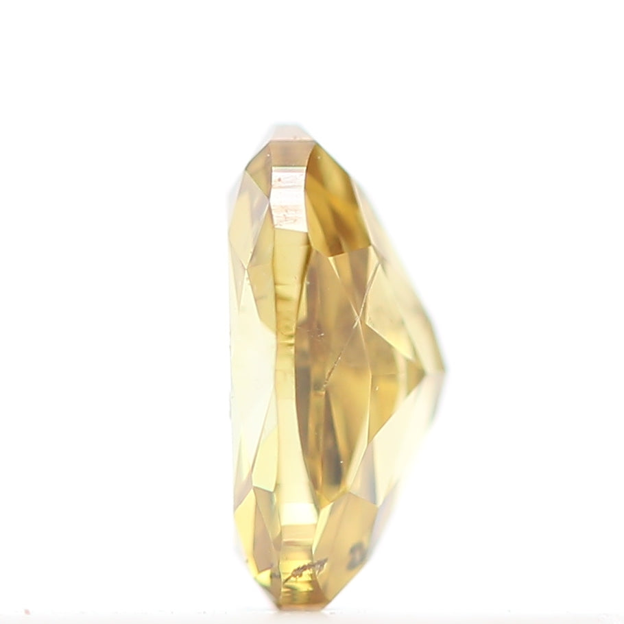 ClariOLED Transparent OLED Display price